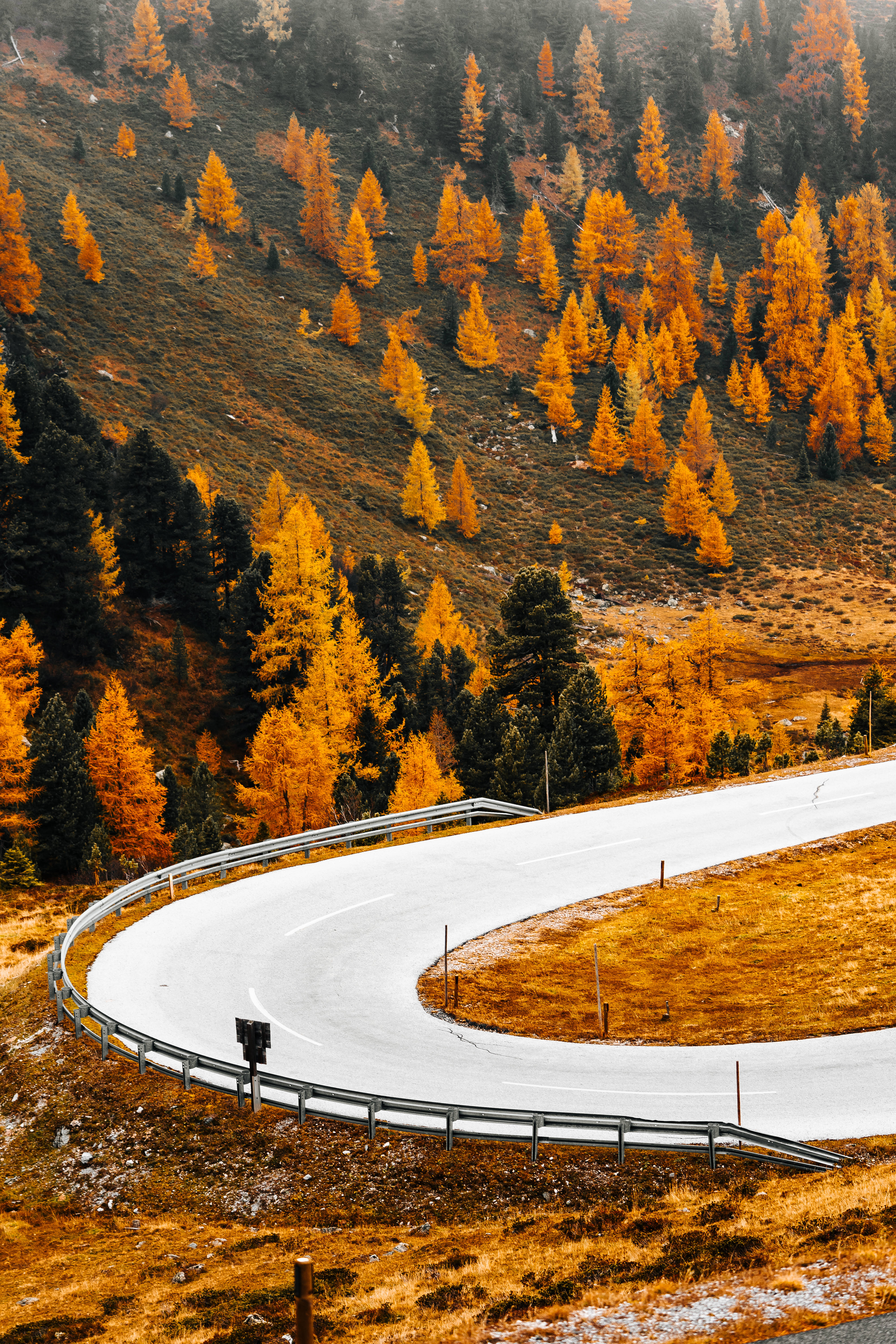 Austria 桌布 壁紙 — 一條蜿蜒的山路穿過金色的落葉松林，映襯著霧濛濛的秋日山坡。