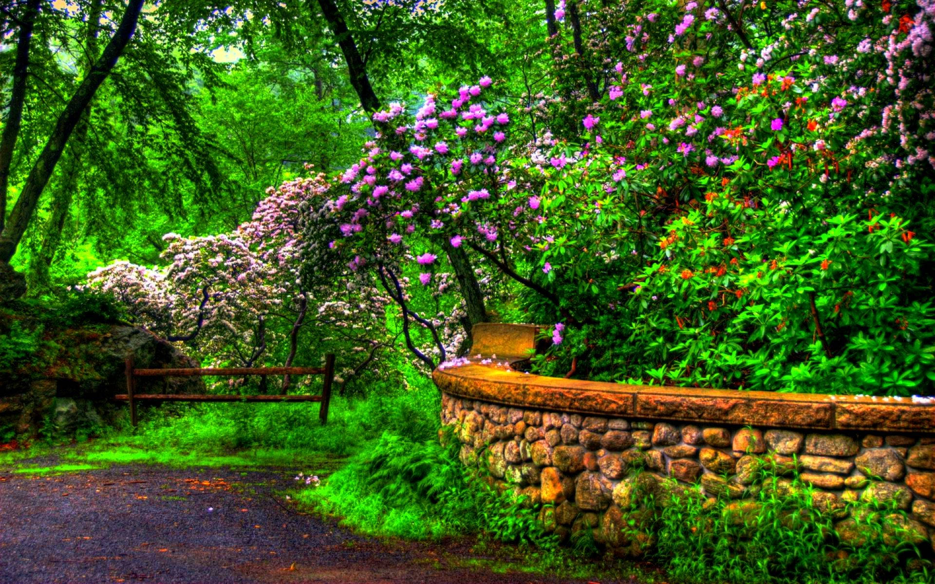 Most Beautiful Spring 桌布 壁紙 — 一條蜿蜒的森林小徑，兩旁是充滿活力的綠色樹木和盛開的紫色花朵，旁邊還有一道質樸的石牆。
