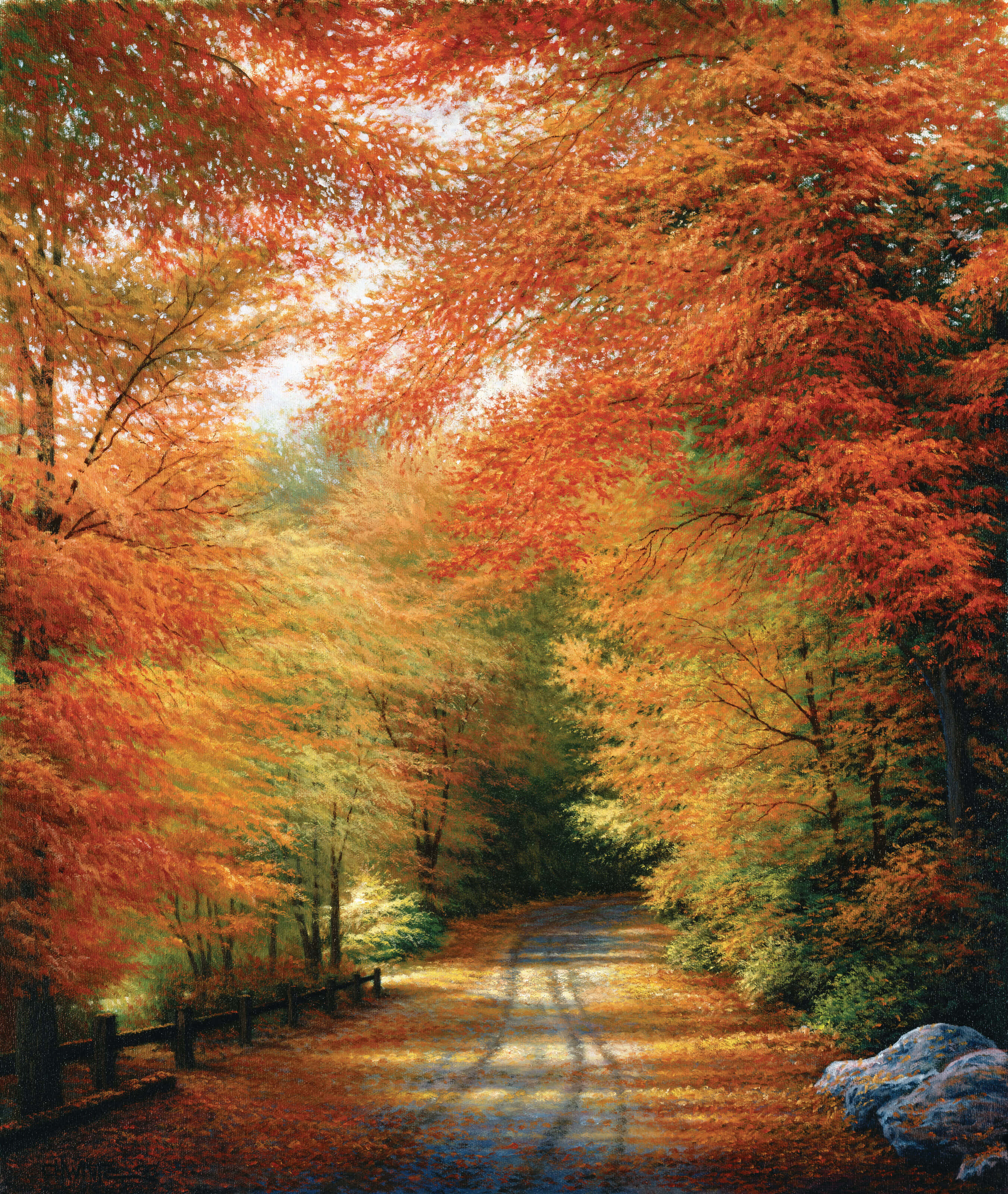 New England Autumn 桌布 壁紙 — 一條蜿蜒的森林小徑沐浴在金色的陽光下，穿過火紅和橙色秋葉組成的樹冠。