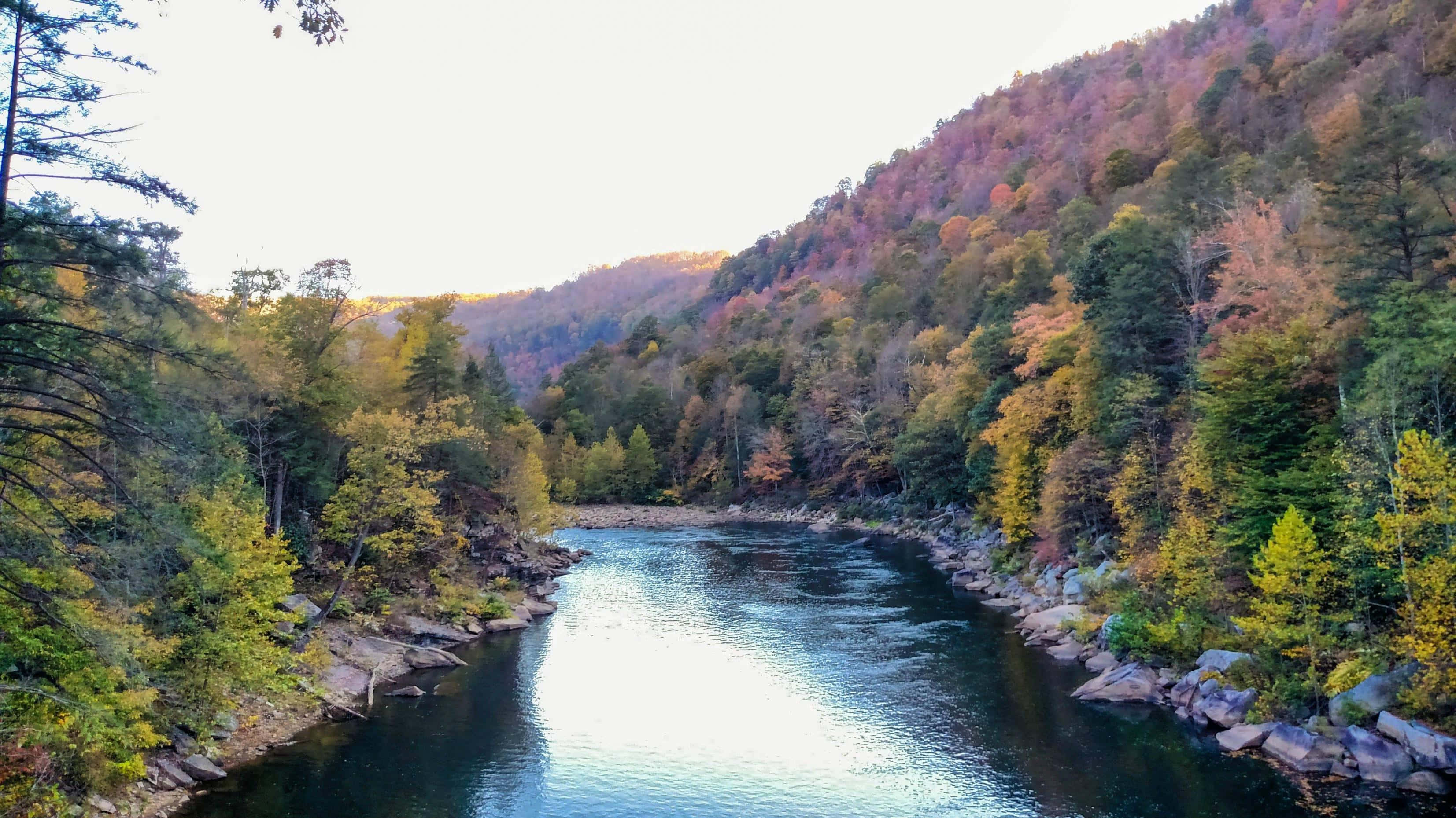 Virginia 桌布 壁紙 — 一條蜿蜒的河流流經森林覆蓋的山谷，秋色將山坡染成鮮豔的橙色、黃色和綠色。