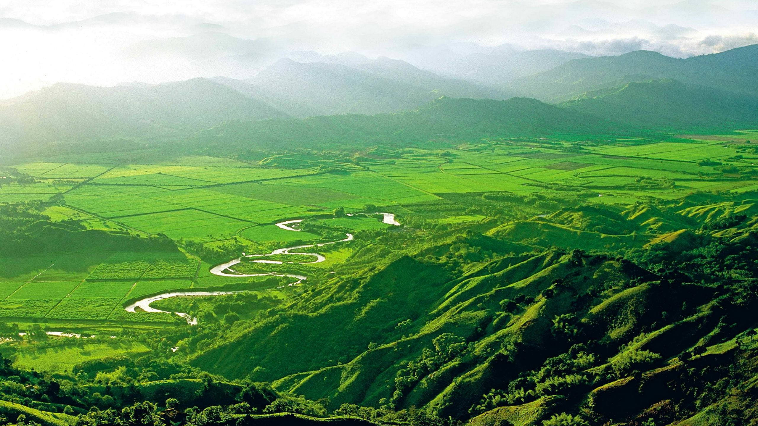 Colombia 桌布 壁紙 — 一條蜿蜒的河流穿過充滿活力的綠色梯田山丘，在柔和的晨空下，遠方有霧氣繚繞的山巒。
