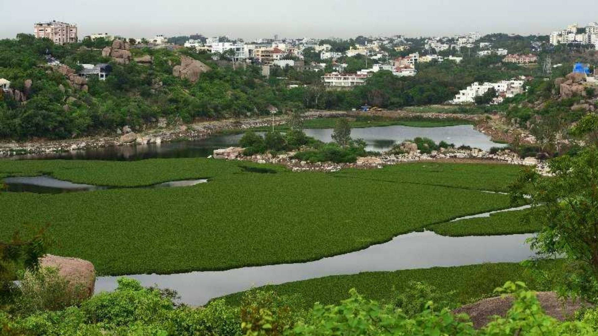 Hyderabad 桌布 壁紙 — 一條蜿蜒的河流被茂密的綠色水葫蘆覆蓋，流經岩石山谷，小鎮坐落在樹木繁茂的山坡上。