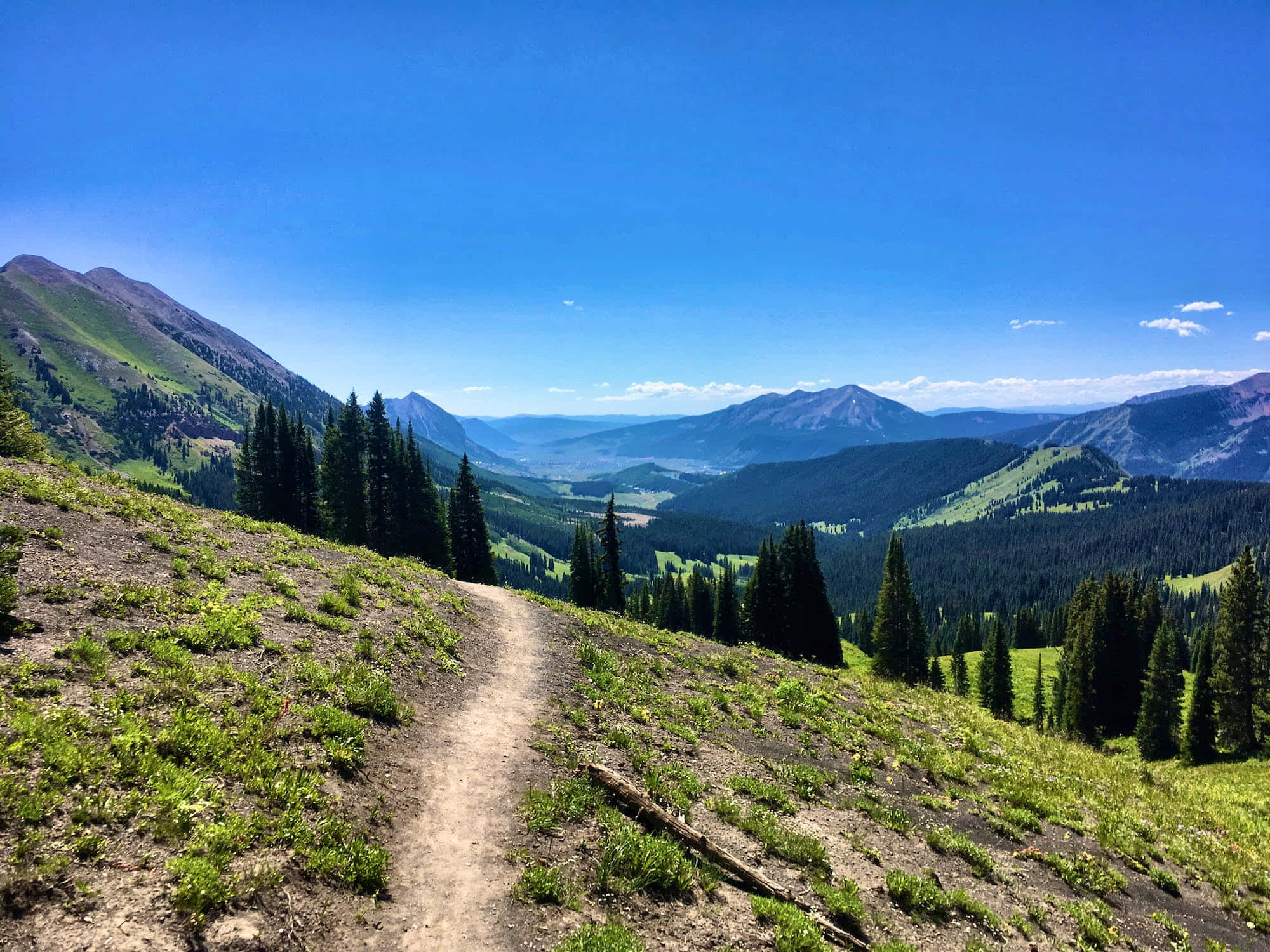 Hiking 桌布 壁紙 — 一條蜿蜒的泥土小徑在廣闊清澈的藍天下，沿著點綴著綠草和常綠樹木的陽光明媚山坡向上延伸。