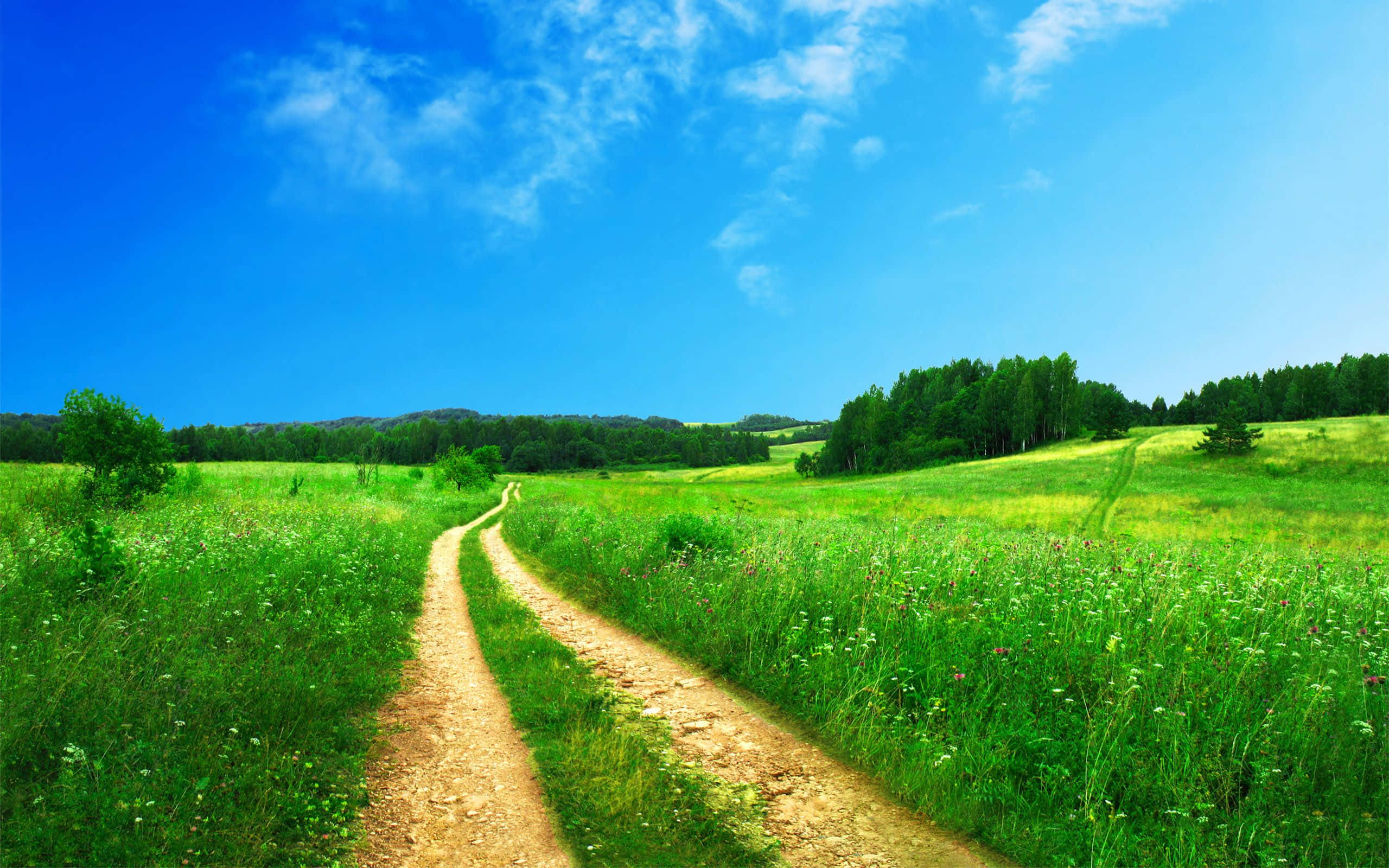 Summer Landscape 桌布 壁紙 — 一條蜿蜒的泥土小徑穿過充滿活力的綠色草地，上方是帶有零星白雲的明亮藍天。