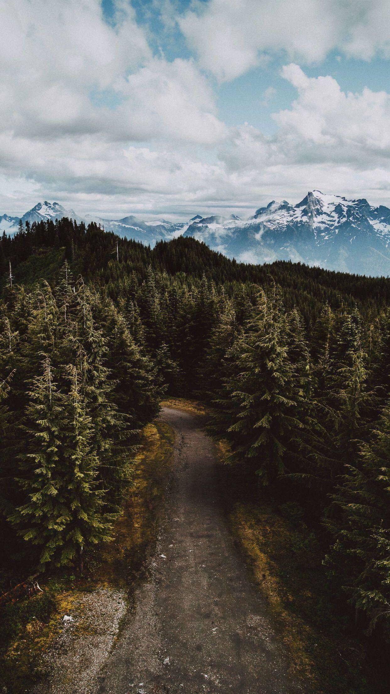 Country Road 桌布 壁紙 — 一條蜿蜒的泥土小徑穿過茂密的常綠森林，通往雲天下積雪覆蓋的山峰。