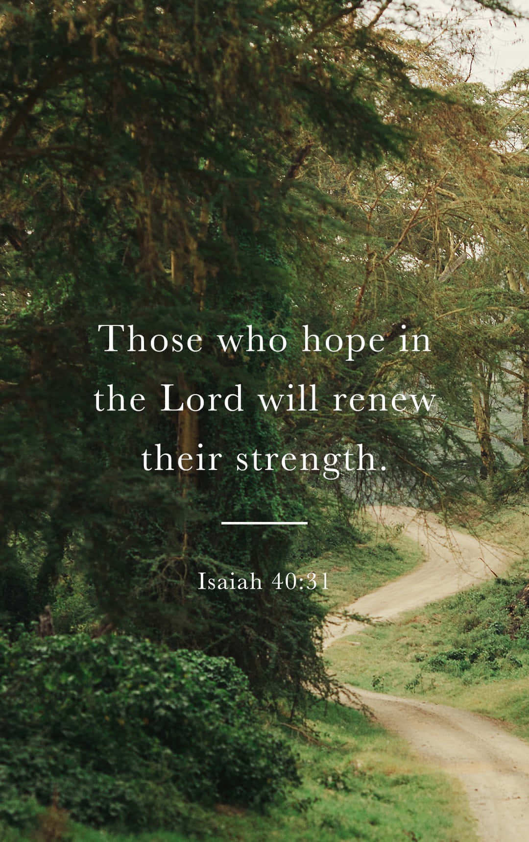 Cute Bible Verse 桌布 壁紙 — 一條蜿蜒的泥土小徑穿過茂密的綠色森林，高聳的樹木和茂密的樹葉在柔和自然光下。