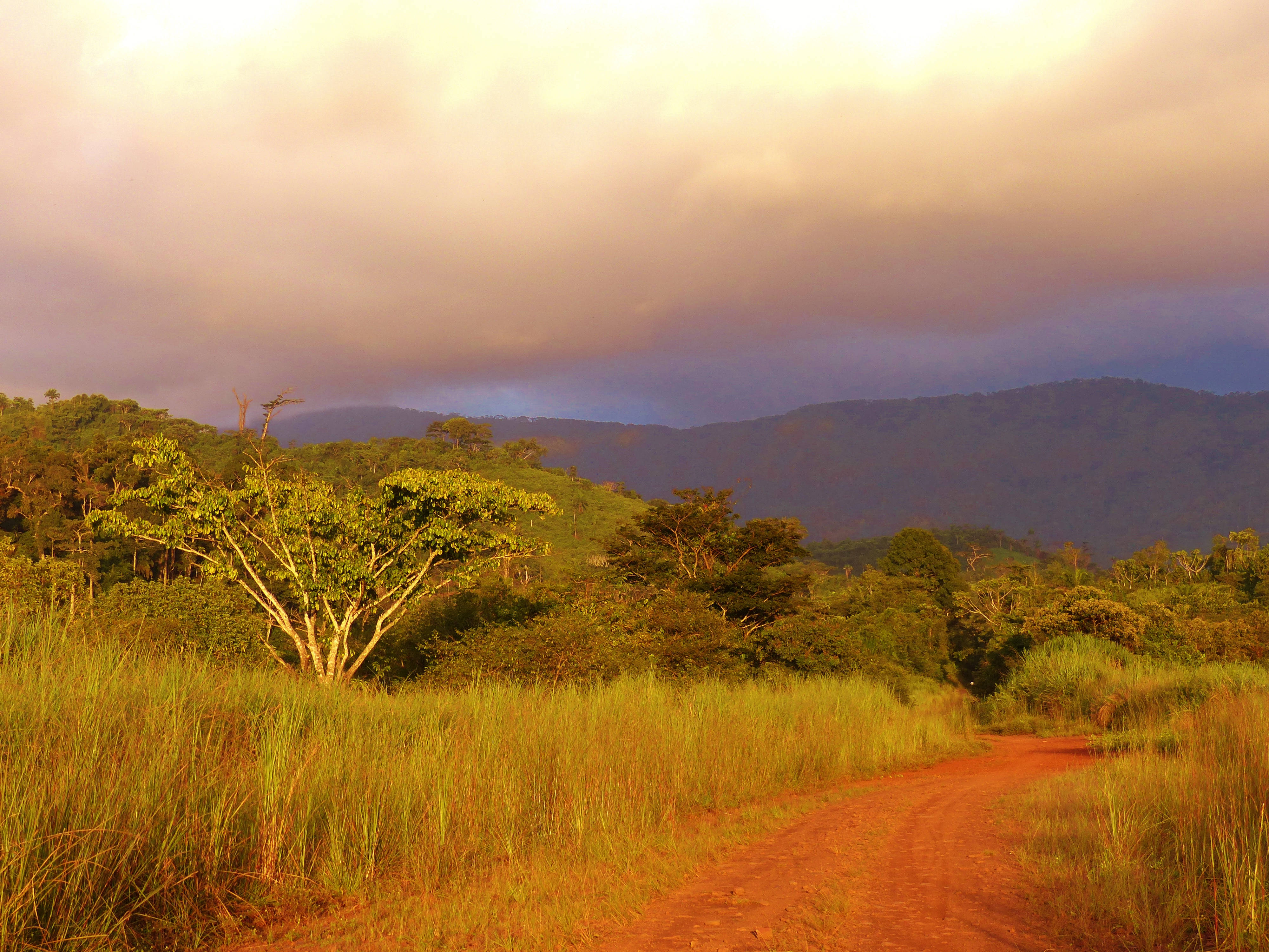 Liberia 桌布 壁紙 — 一條蜿蜒的泥土小徑穿過金黃色的草地，通往遠方的山脈，天空上演著壯麗的日落。