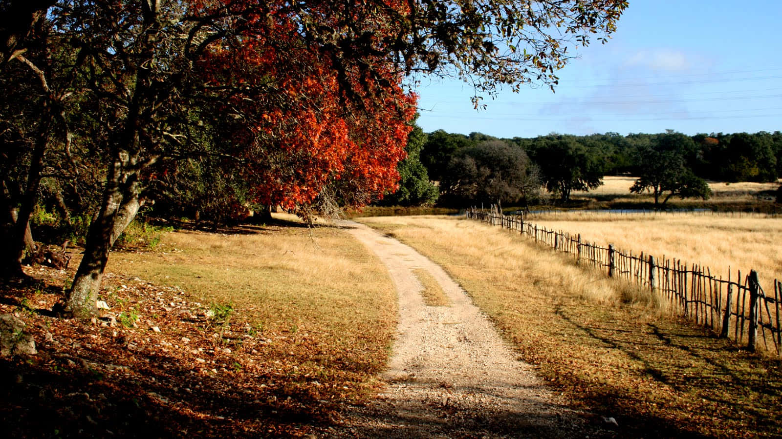 Fall Country 桌布 壁紙 — 一條蜿蜒的泥土小徑穿過陽光明媚的秋日田野，兩旁是質樸的籬笆和樹葉火紅的樹木。
