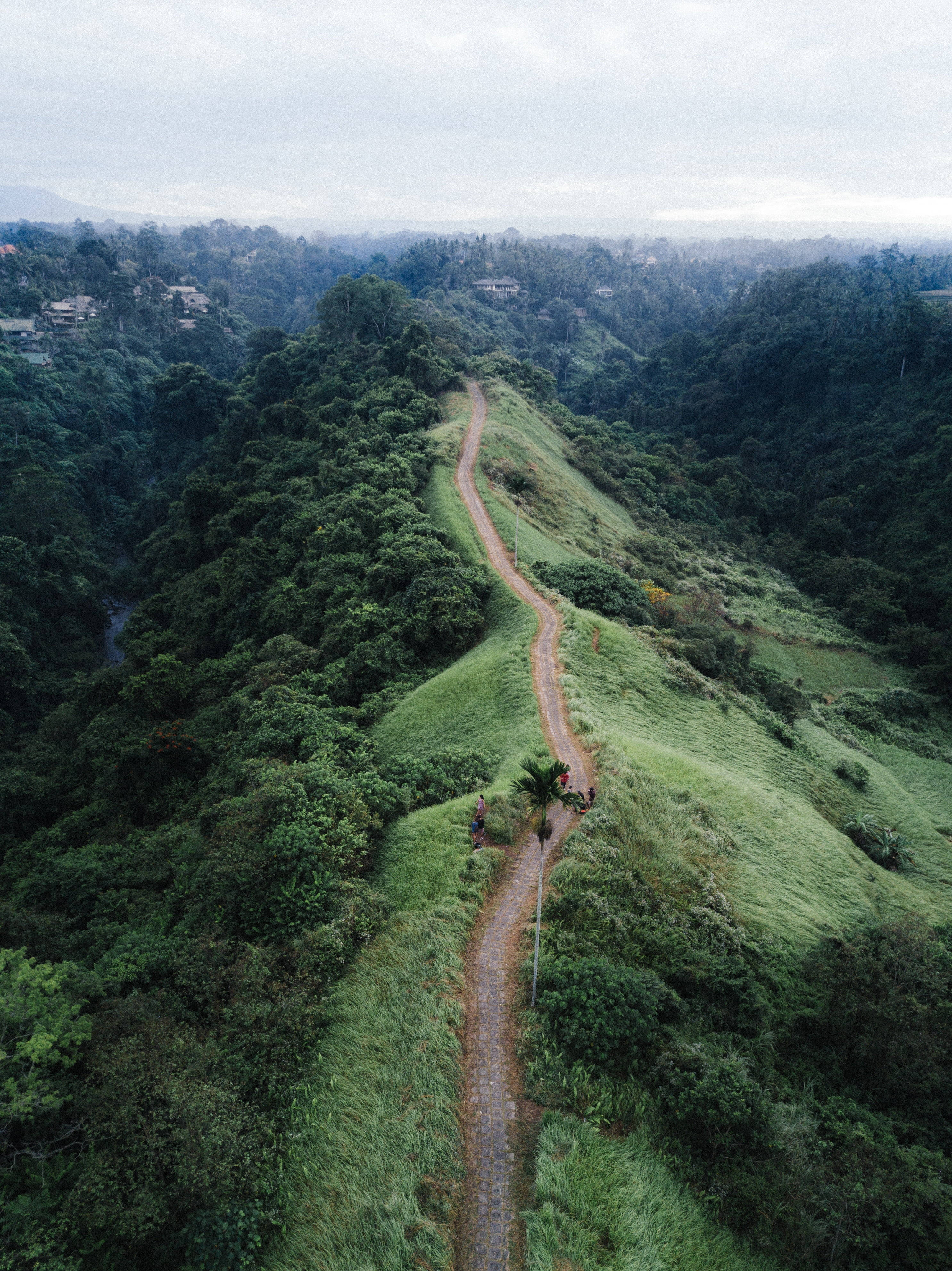 View 桌布 壁紙 — 一條蜿蜒的泥土小徑穿過鬱鬱蔥蔥的綠色山丘，天空多雲，遠處的房屋 nestled 在森林中。