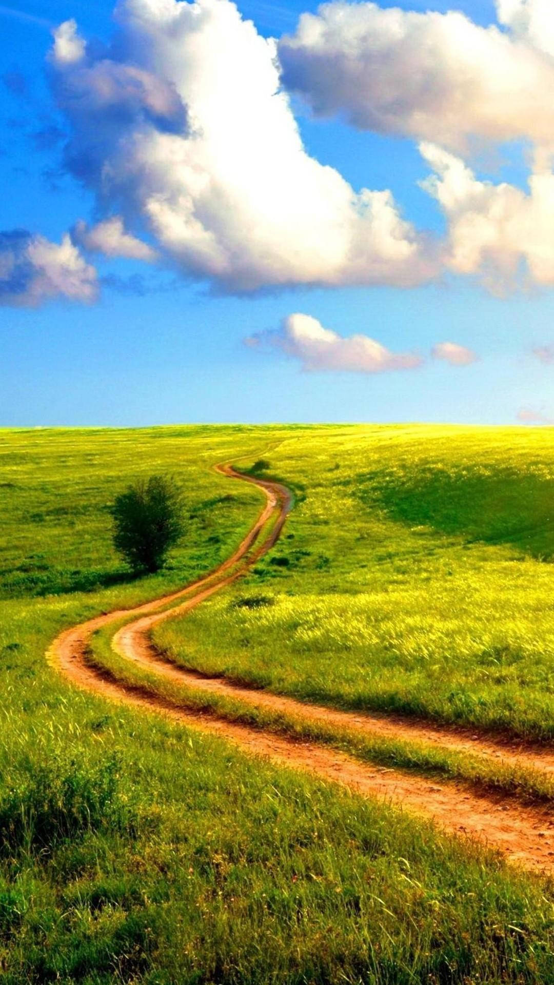 Grass 桌布 壁紙 — 一條蜿蜒的泥土小徑穿過鬱鬱蔥蔥的綠色起伏山丘，上方是晴朗的藍天和蓬鬆的白雲。
