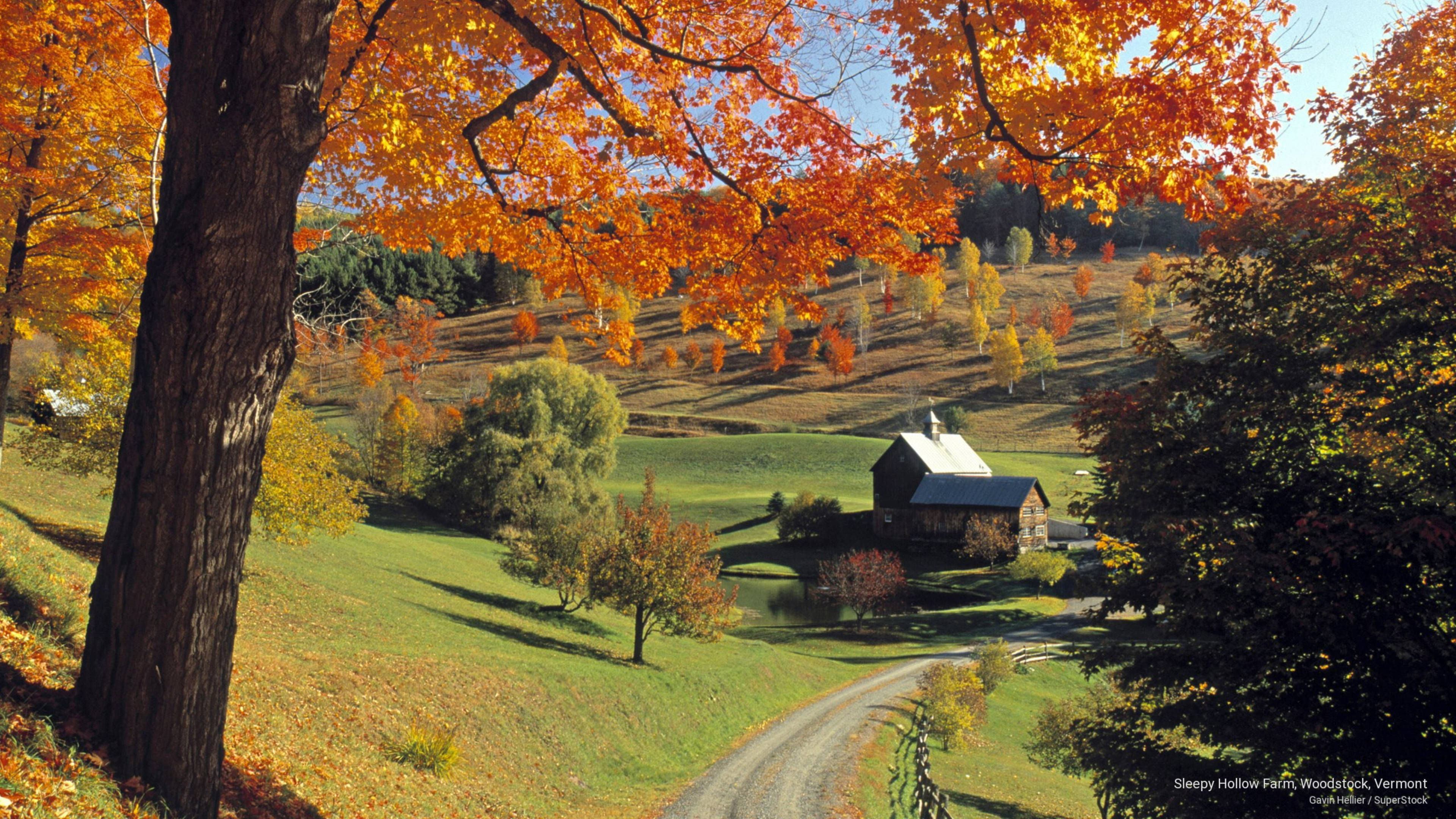 Vermont 桌布 壁紙 — 一條蜿蜒的泥土路穿過充滿活力的秋日景觀，火紅的橙樹襯托著一座質樸的穀倉，背景是清澈的藍天。