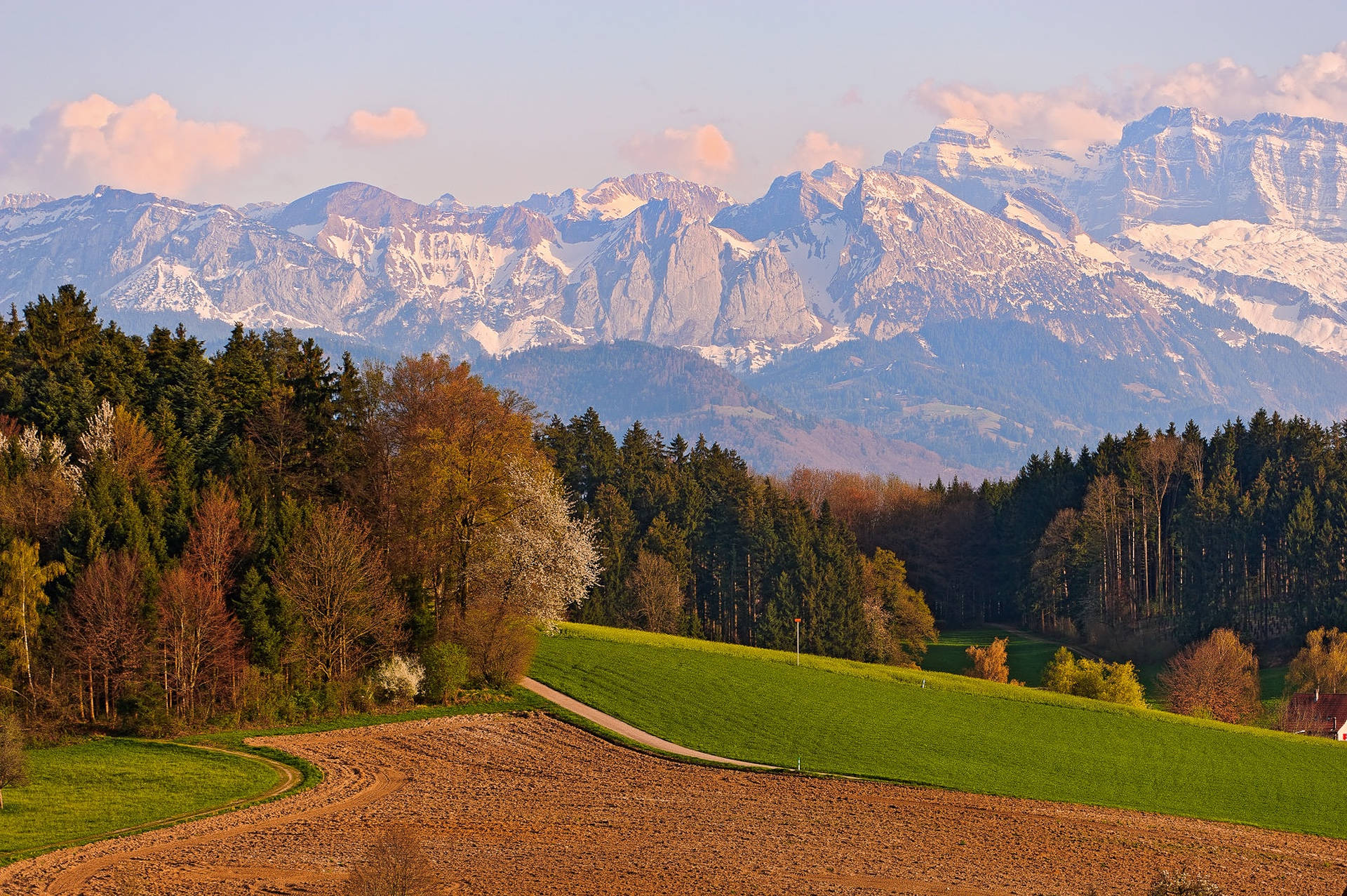 Alps 桌布 壁紙 — 一條蜿蜒的泥土路穿過充滿活力的綠色田野和秋樹，積雪覆蓋的山脈在日出的柔和光線中閃耀。