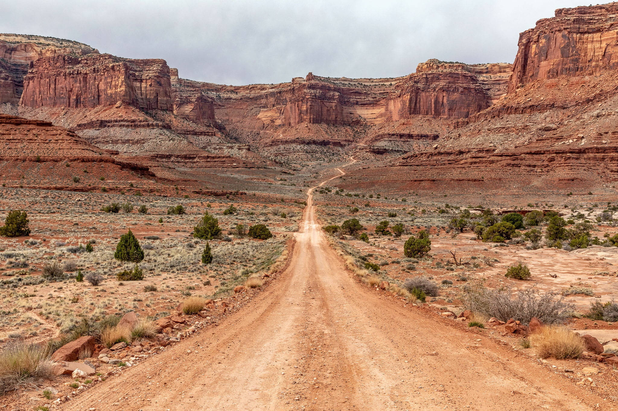 Canyonlands National Park 桌布 壁紙 — 一條蜿蜒的泥土路穿過廣闊的沙漠峽谷，在陰天之下聳立著紅色岩石地貌。