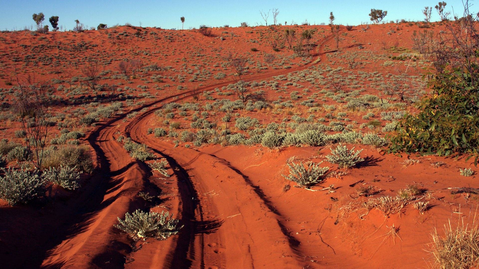 Outback 桌布 壁紙 — 一條蜿蜒的泥土路穿過廣闊的紅色沙漠景觀，稀疏的綠色灌木點綴其間，上方是清澈的藍天。