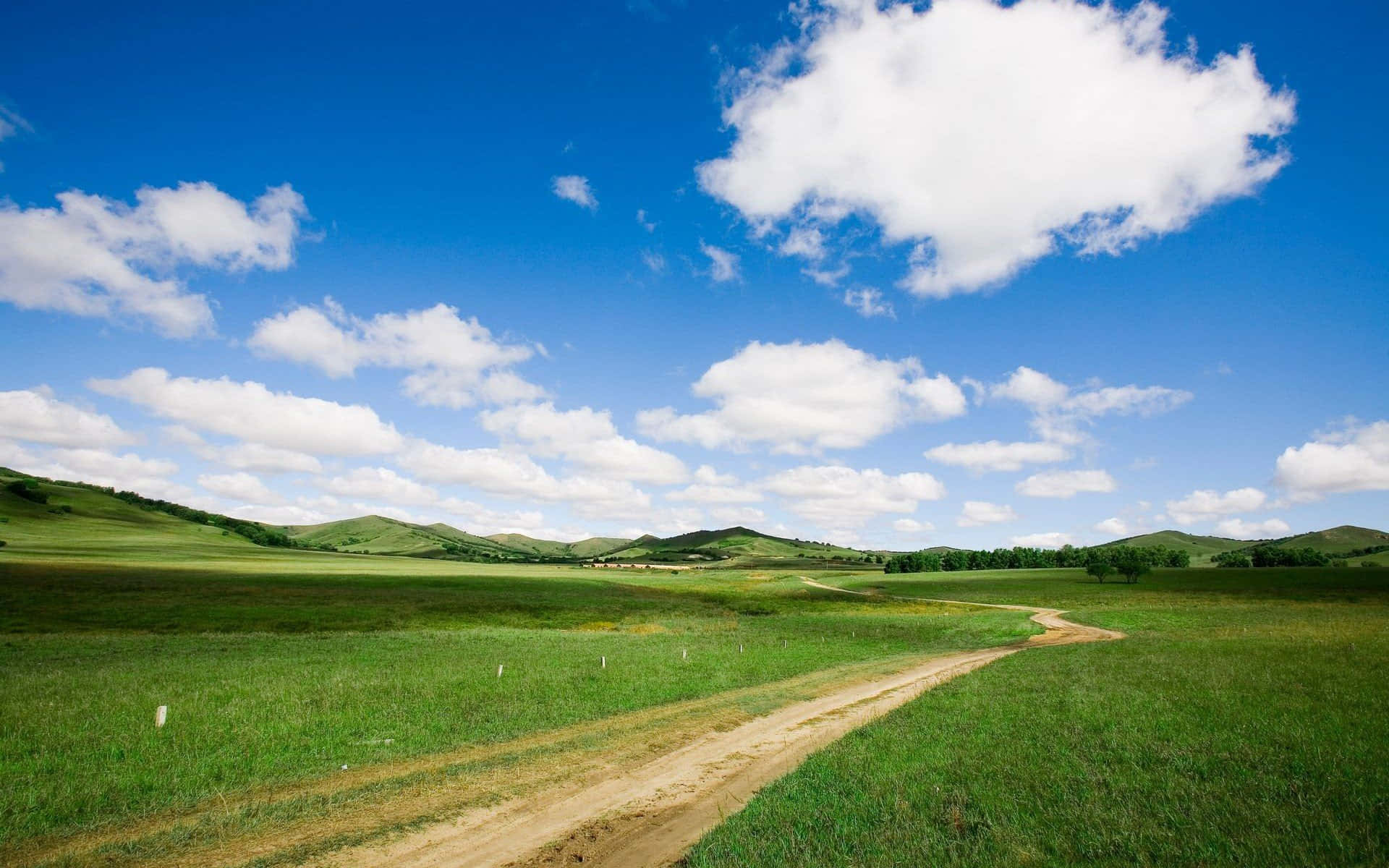 Grass And Sky 桌布 壁紙 — 一條蜿蜒的泥土路穿過無盡的綠色草原，上方是明亮的藍天，點綴著蓬鬆的白雲。