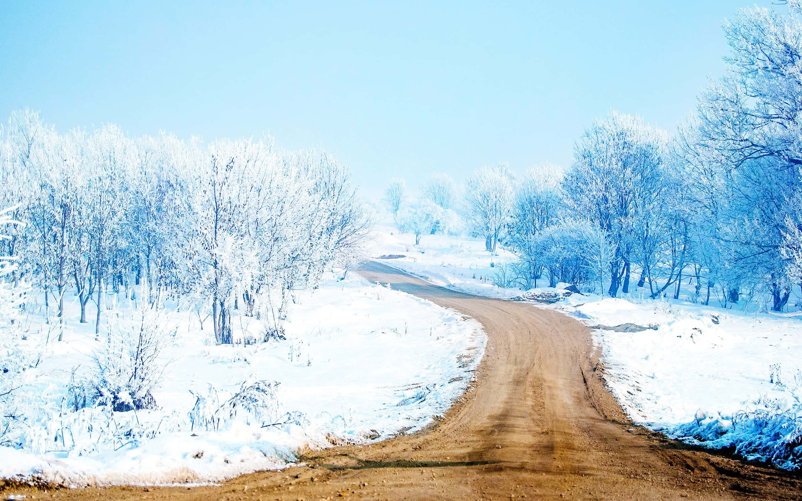 Road 桌布 壁紙 — 一條蜿蜒的泥土路穿過白雪覆蓋的寧靜冬季景觀，霜凍的樹木在清澈的藍天下。