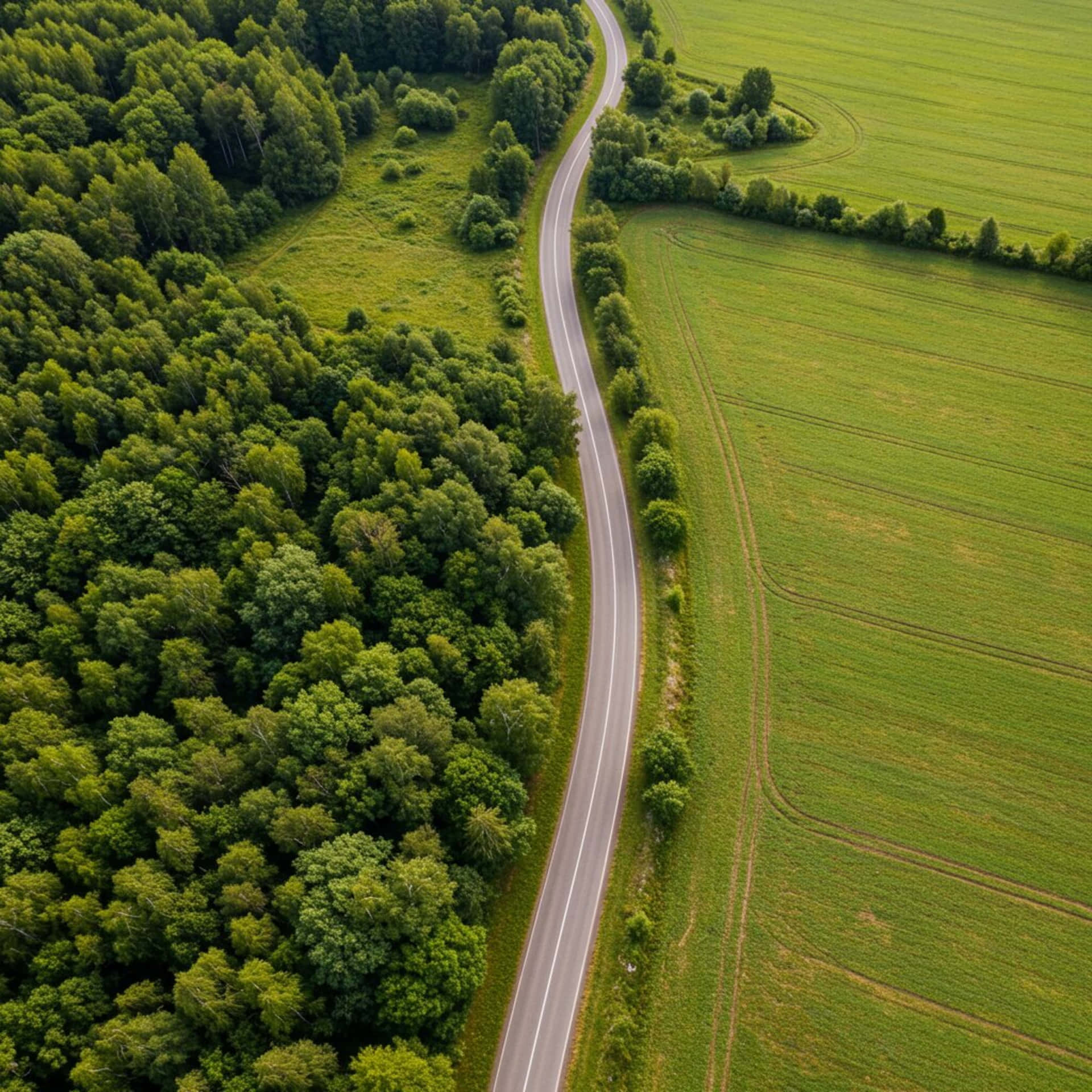 Road on the hill 壁紙 — 一條蜿蜒的瀝青路從空中俯瞰，蜿蜒穿過茂密的綠色森林和修剪整齊的田野。