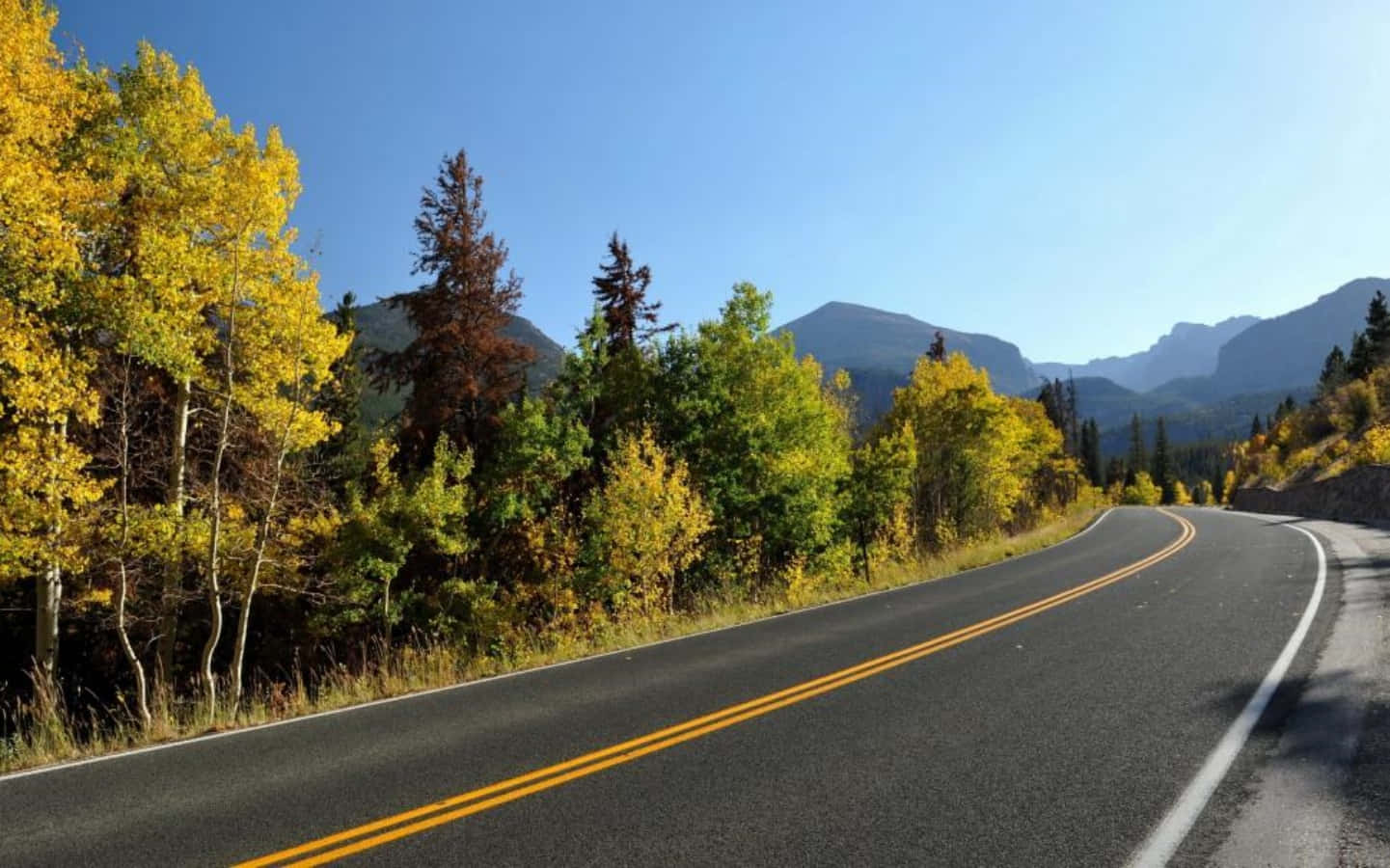 Highways 桌布 壁紙 — 一條蜿蜒的瀝青路穿過秋日森林，金黃樹木與遠山在清澈藍天下。