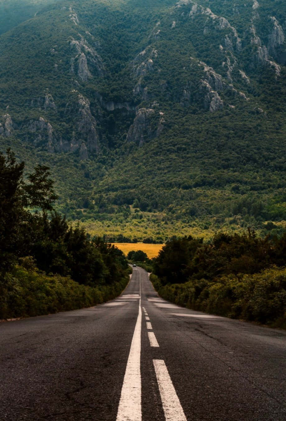 highway 桌布 壁紙 — 一條蜿蜒的瀝青路穿過鬱鬱蔥蔥的青山，遠處有一片黃色的田野，在柔和的光線下。
