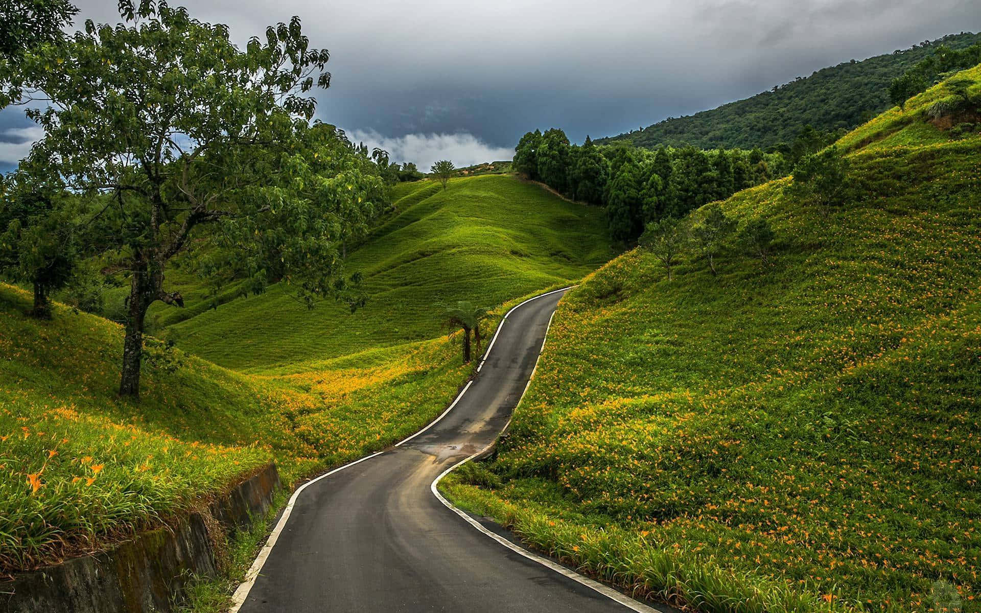 風景 桌布 壁紙 — 一條蜿蜒的瀝青道路穿過綠意盎然的山丘，點綴著黃色野花，在戲劇性的多雲天空下蜿蜒而行。