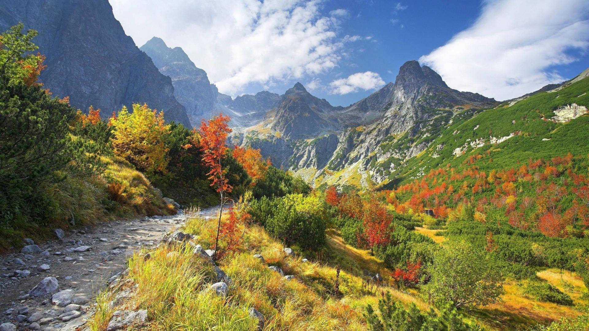 Slovakia 桌布 壁紙 — 一條蜿蜒的石徑在明亮的藍天白雲下，穿過充滿活力的秋葉。