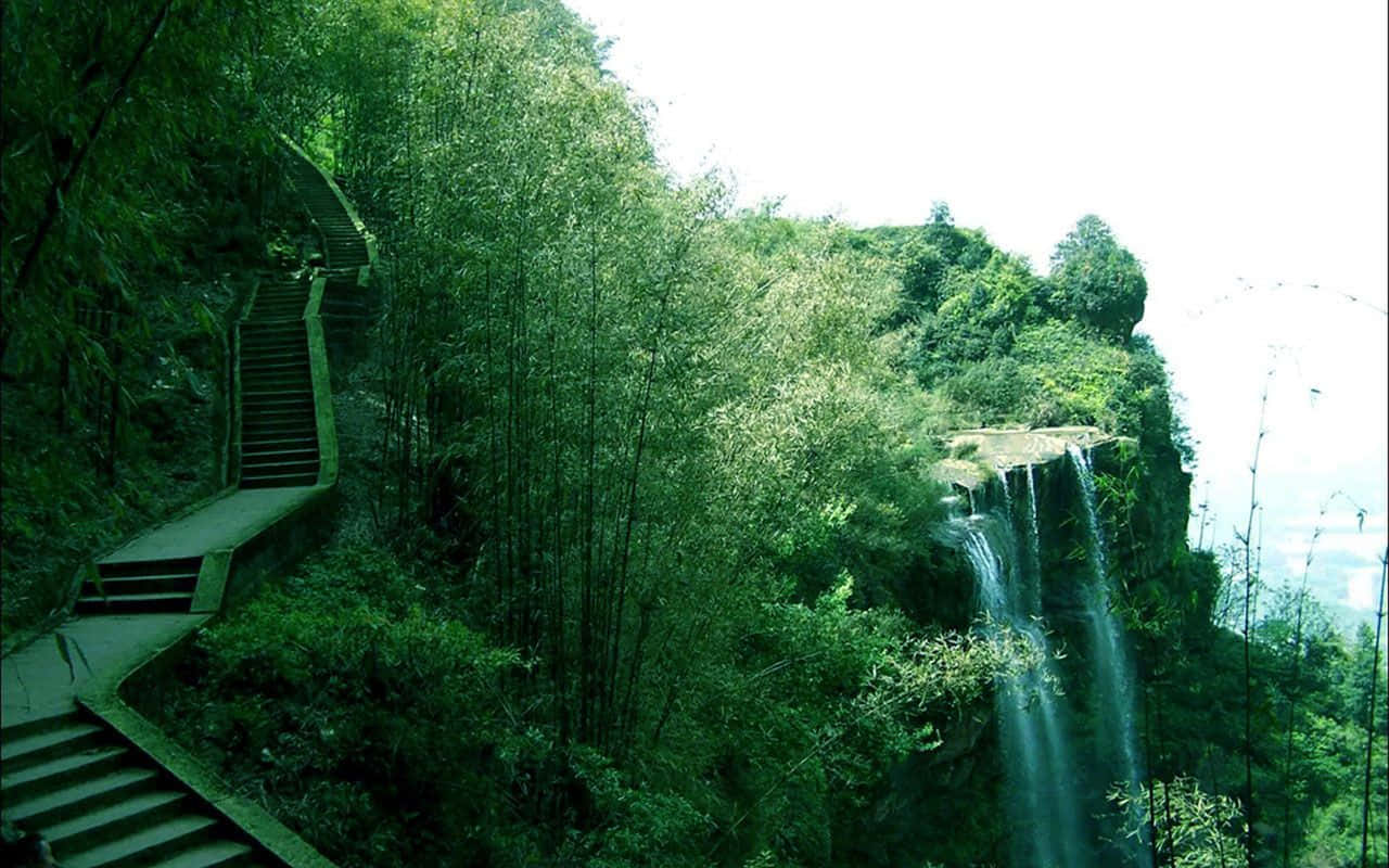 Bamboo 桌布 壁紙 — 一條蜿蜒的石階穿過茂密的竹林，通往陽光普照的懸崖邊上的瀑布。