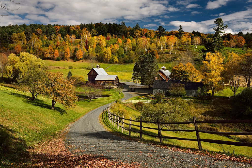 Fall Cabin 桌布 壁紙 — 一條蜿蜒的碎石路穿過充滿活力的秋日鄉村，兩旁有色彩繽紛的樹木和質樸的農舍建築，天空部分多雲。