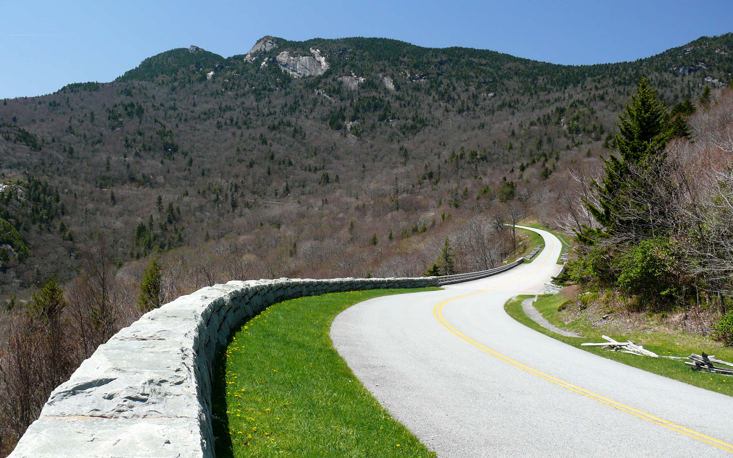 Blue Ridge Parkway 桌布 壁紙 — 一條蜿蜒的碎石路穿過森林覆蓋的山谷，在晴朗的藍天下，路邊有綠草和黃色野花。