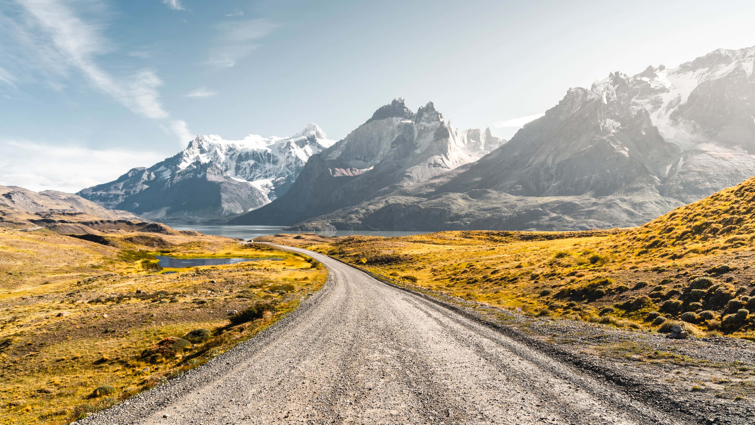 Patagonia 桌布 壁紙 — 一條蜿蜒的碎石路穿過金黃色的草原，通往白雪覆蓋的山脈，在明亮的藍天下。