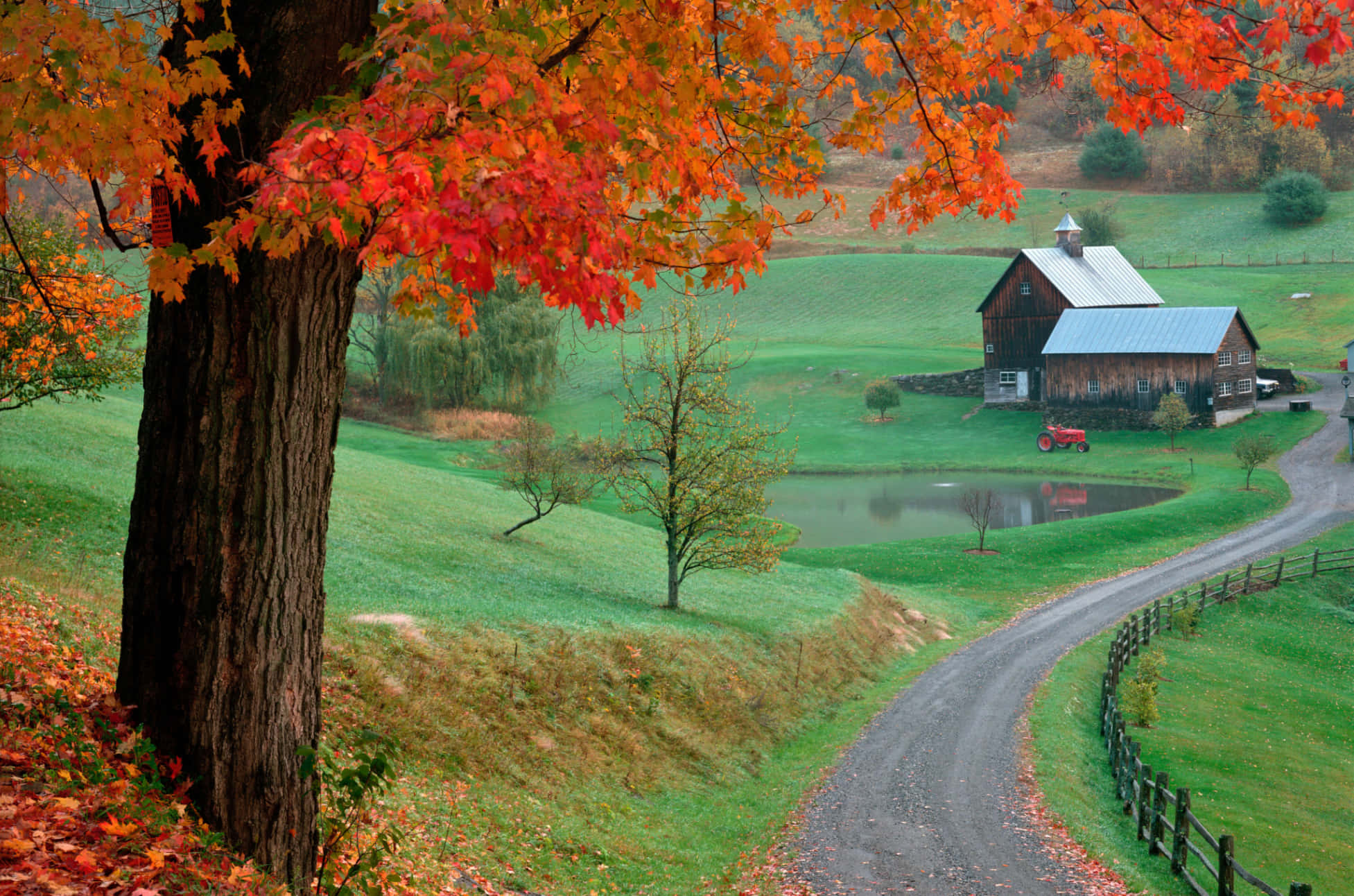 Fall Country 桌布 壁紙 — 一條蜿蜒的碎石路繞過一棵充滿活力的秋樹，框住了翠綠山谷中池塘旁的質樸穀倉。