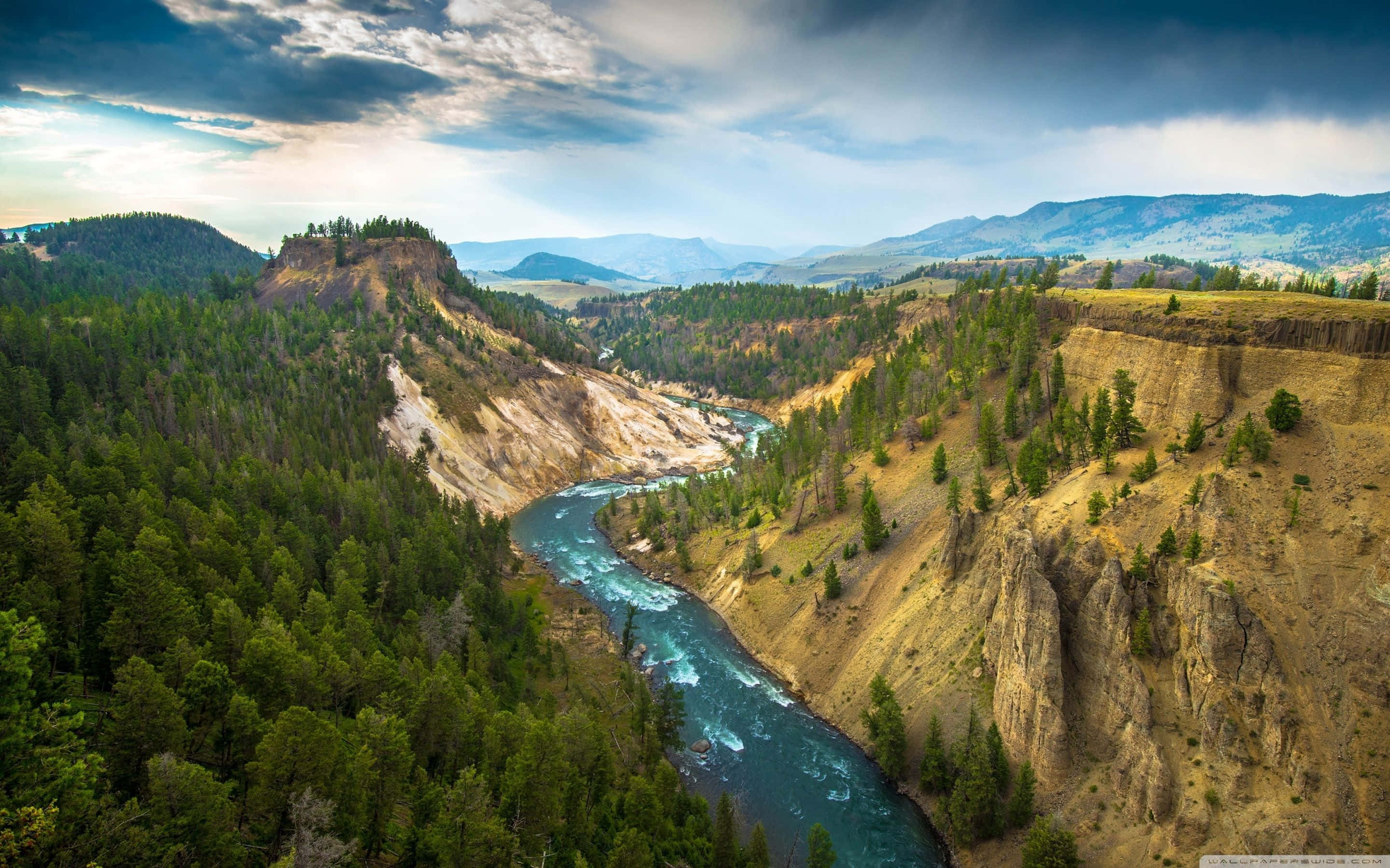 Yellowstone 桌布 壁紙 — 一條蜿蜒的碧綠河流在戲劇性的多雲天空下，穿過被茂密常綠森林環繞的崎嶇峽谷懸崖。