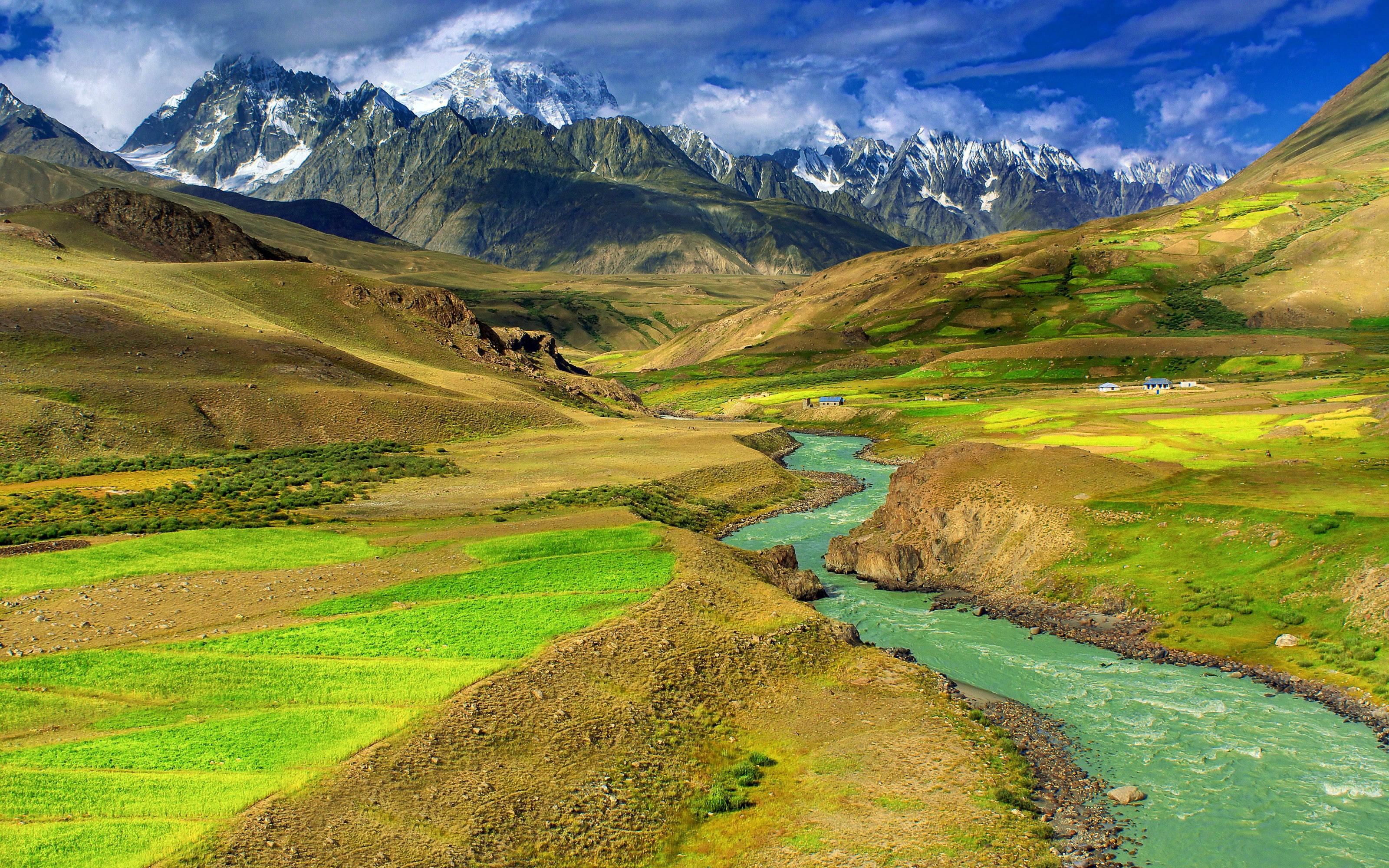 Mongolia 桌布 壁紙 — 一條蜿蜒的碧綠河流穿過充滿活力的綠色梯田，下方是高聳的雪山，上方是明亮的藍天。