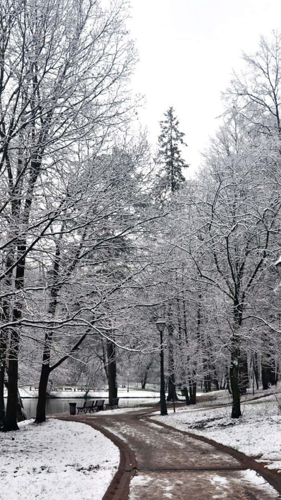 桌布 壁紙 — 一條蜿蜒的積雪小徑穿過一個寧靜的冬季公園，兩旁是結霜的樹木和一個結冰的池塘。