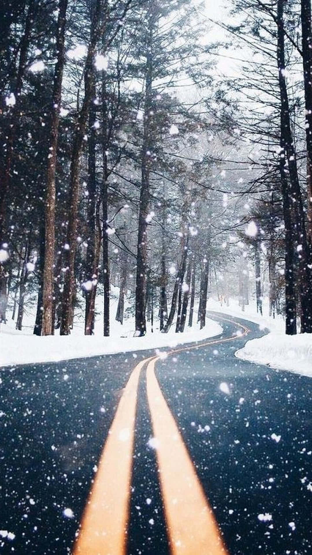 雪景 桌布 壁紙 — 一條蜿蜒的積雪道路穿過茂密的松樹林，雪花飄落，帶有發光的黃色車道標記。