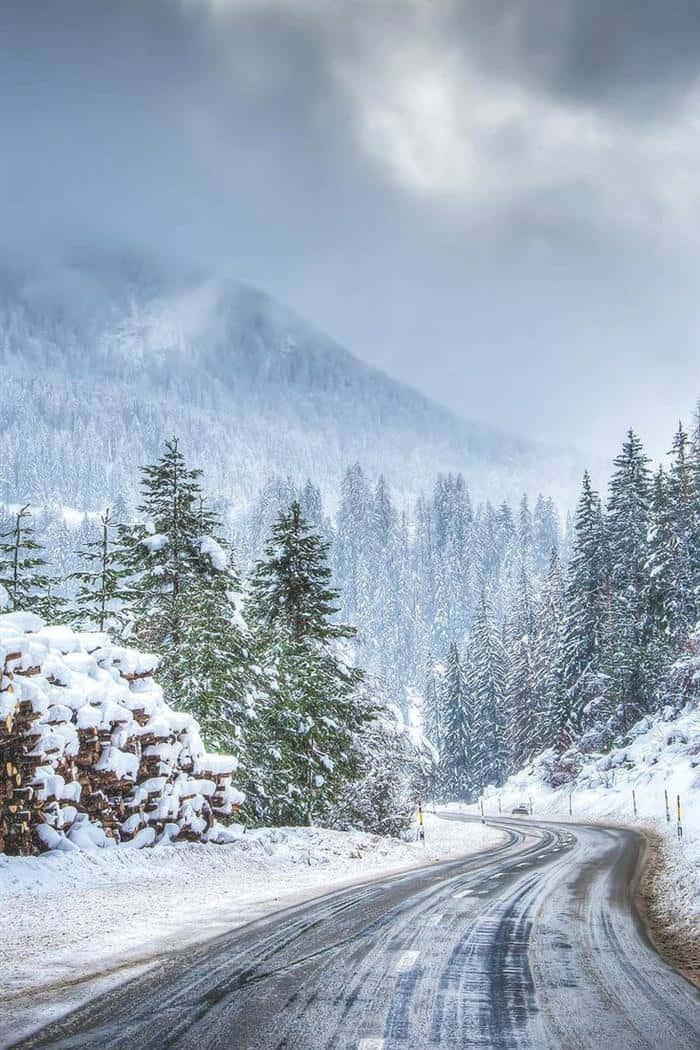 森林 桌布 壁紙 — 一條蜿蜒的積雪道路穿過茂密的松樹林，白雪覆蓋的山脈在陰雲密布的天空下若隱若現。