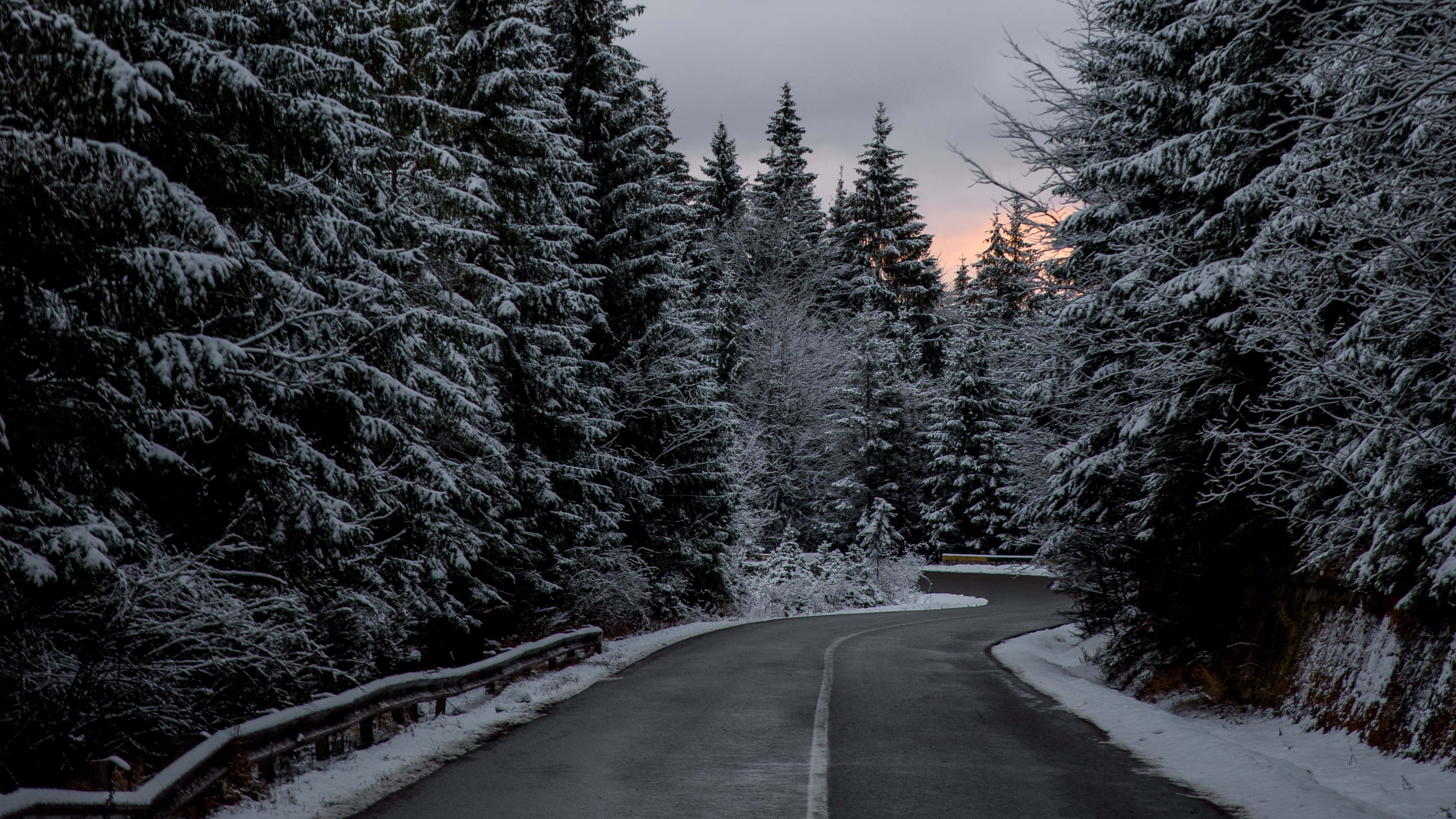 Snowy Road 桌布 壁紙 — 一條蜿蜒的積雪道路穿過茂密的雪松林，在暮色天空下蜿蜒前行。