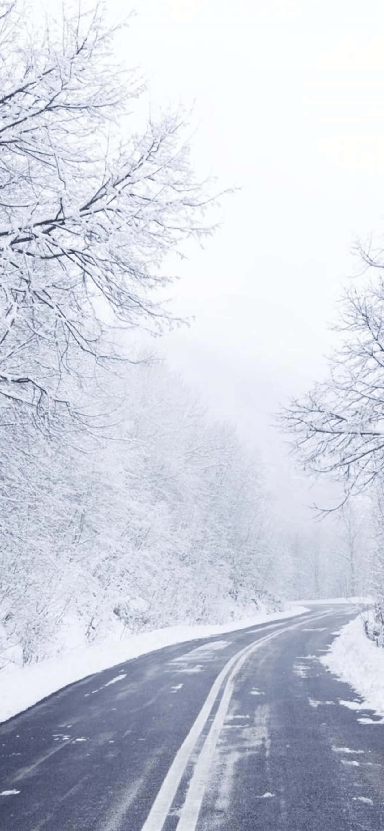 Road 桌布 壁紙 — 一條蜿蜒的積雪道路穿過霧氣瀰漫的冬季森林，樹木光禿，覆蓋著白雪。