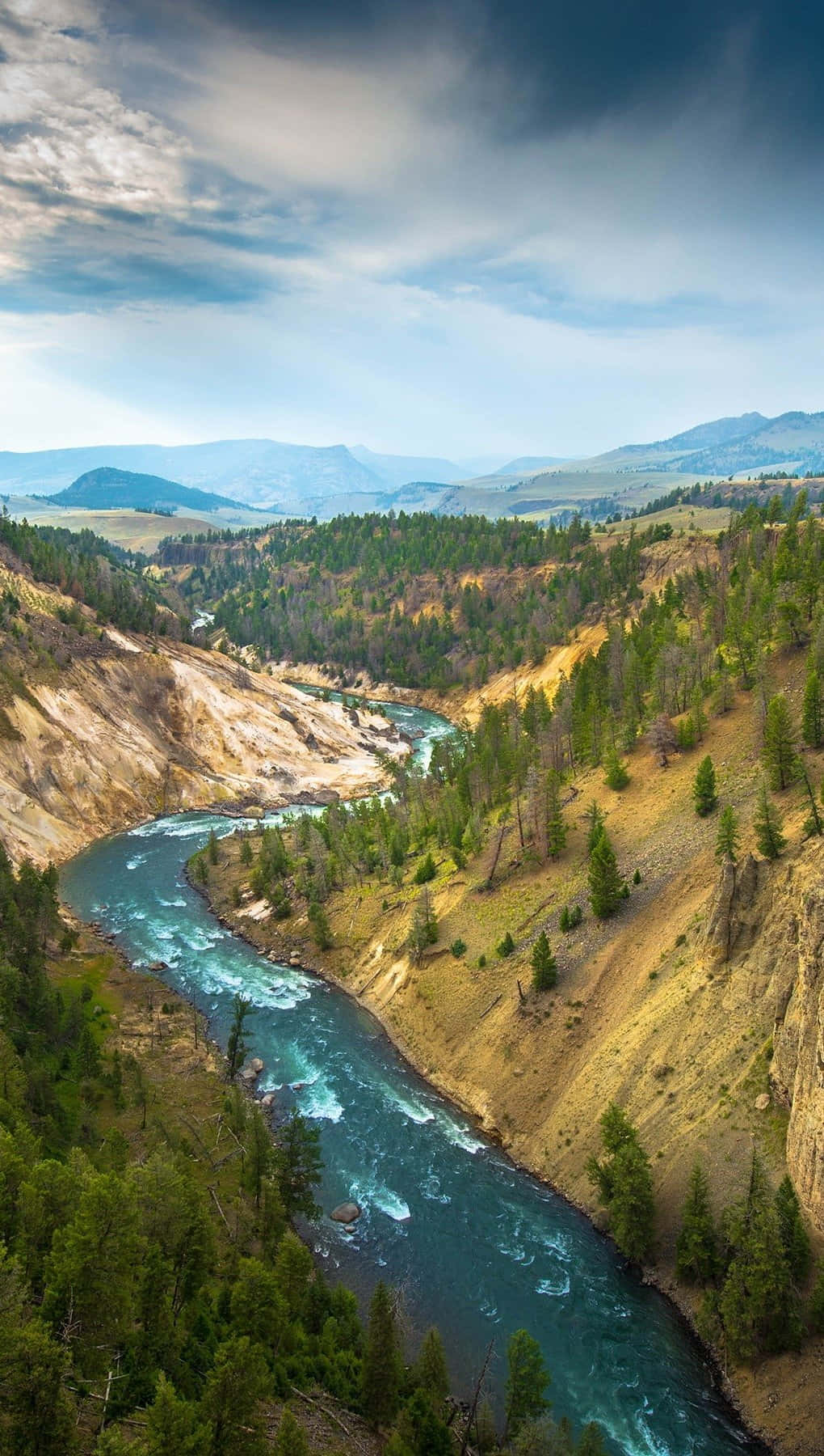 Yellowstone 桌布 壁紙 — 一條蜿蜒的綠松石河流穿過崎嶇的峽谷，兩旁是松樹林和遠處的山脈，天空部分多雲。