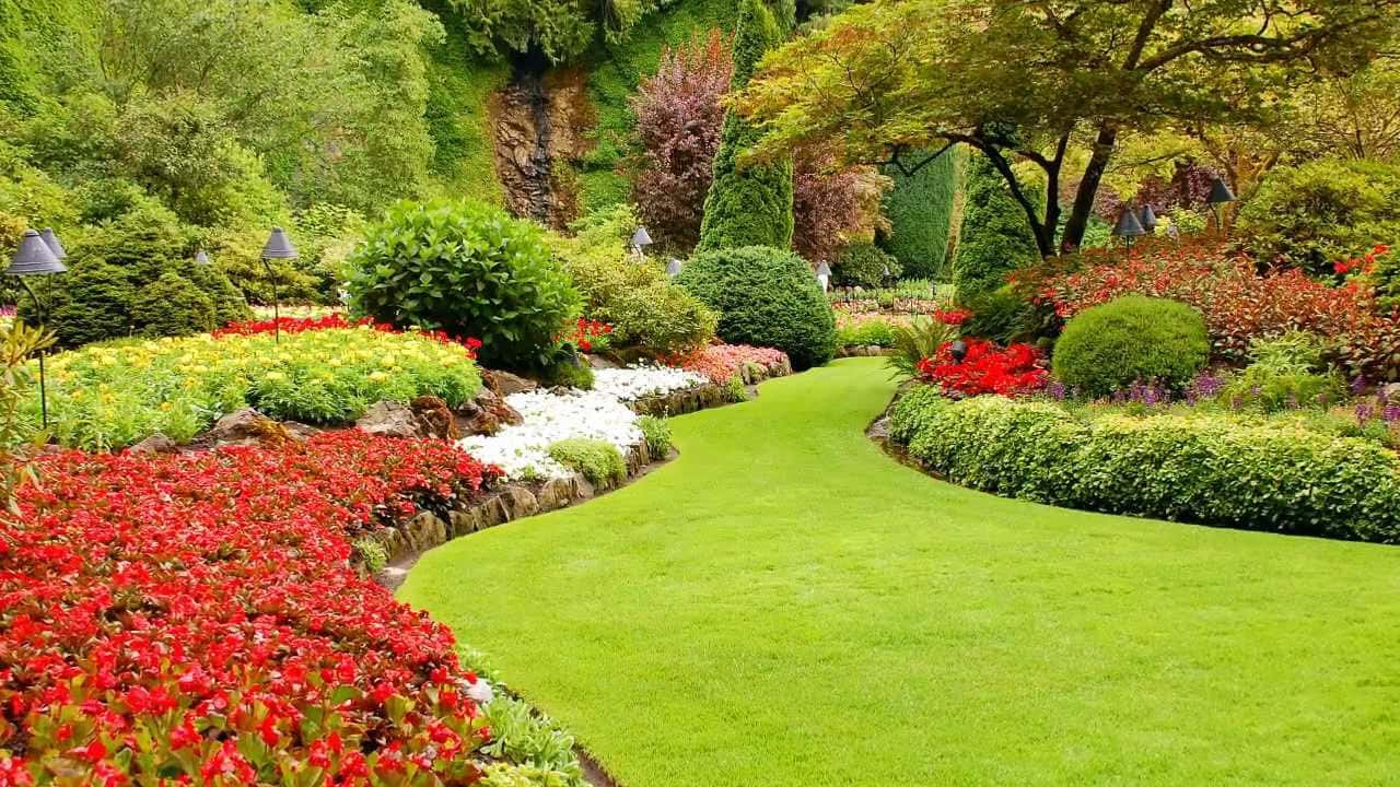 Garden 桌布 壁紙 — 一條蜿蜒的綠色草坪穿過一個充滿活力的花園，花園裡開滿了紅色、白色和黃色的花朵，周圍環繞著茂密的樹木和灌木。