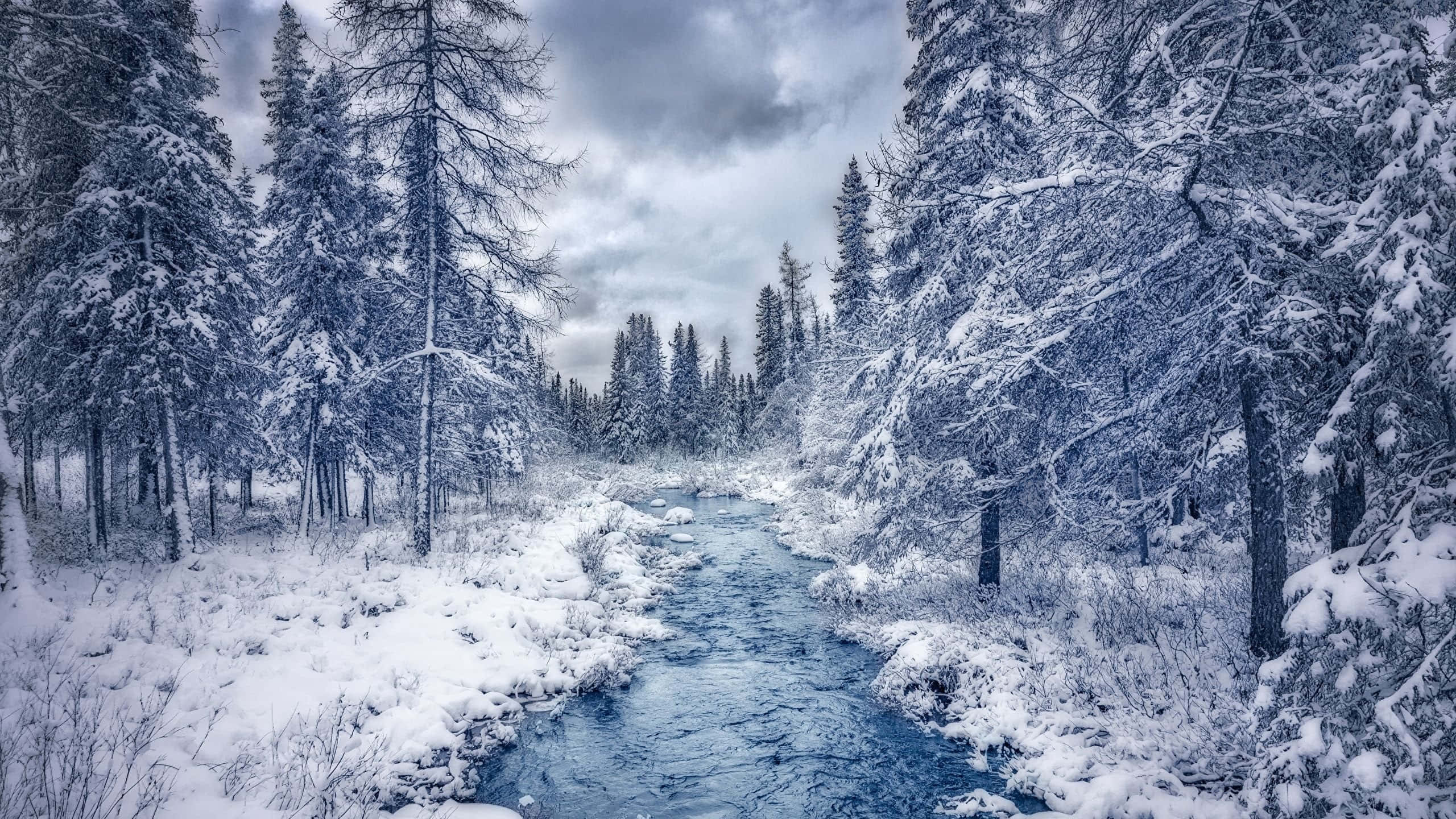 Winter Forest 桌布 壁紙 — 一條蜿蜒的藍色河流穿過白雪覆蓋的森林，雪壓的松樹在陰沉的冬日天空下。