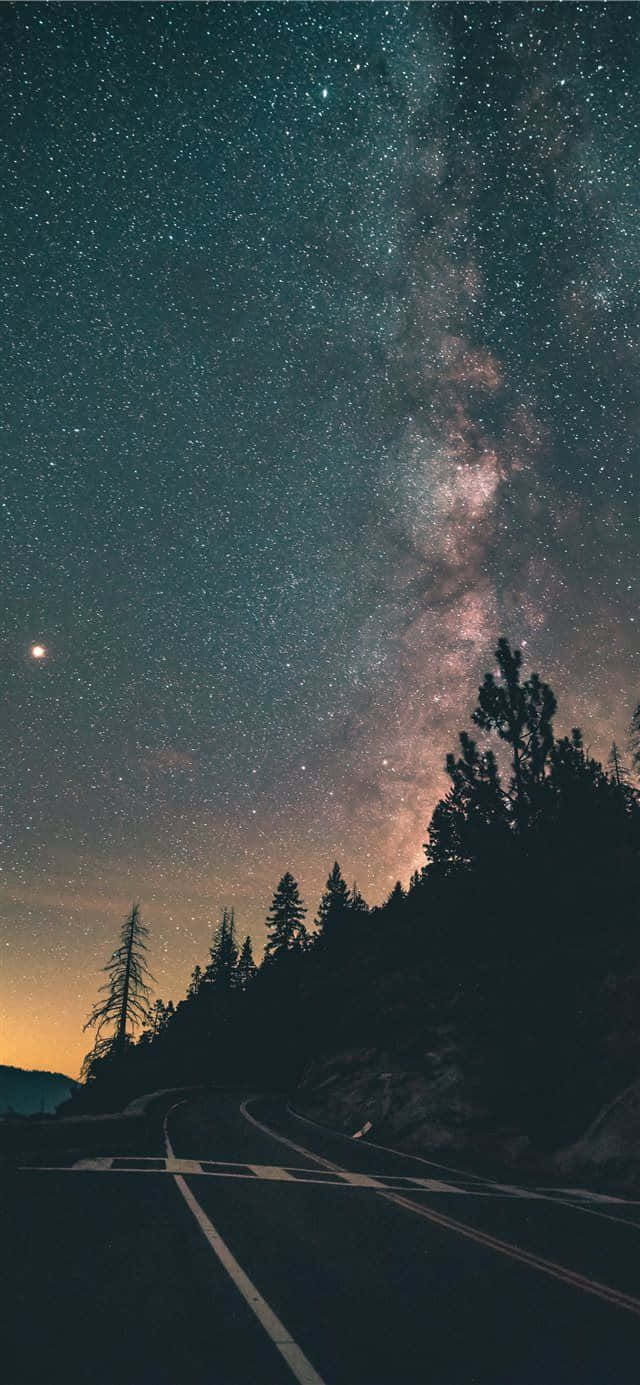 Ambience 桌布 壁紙 — 一條蜿蜒的道路在令人嘆為觀止的星空下彎曲，銀河在松樹的剪影上閃耀。