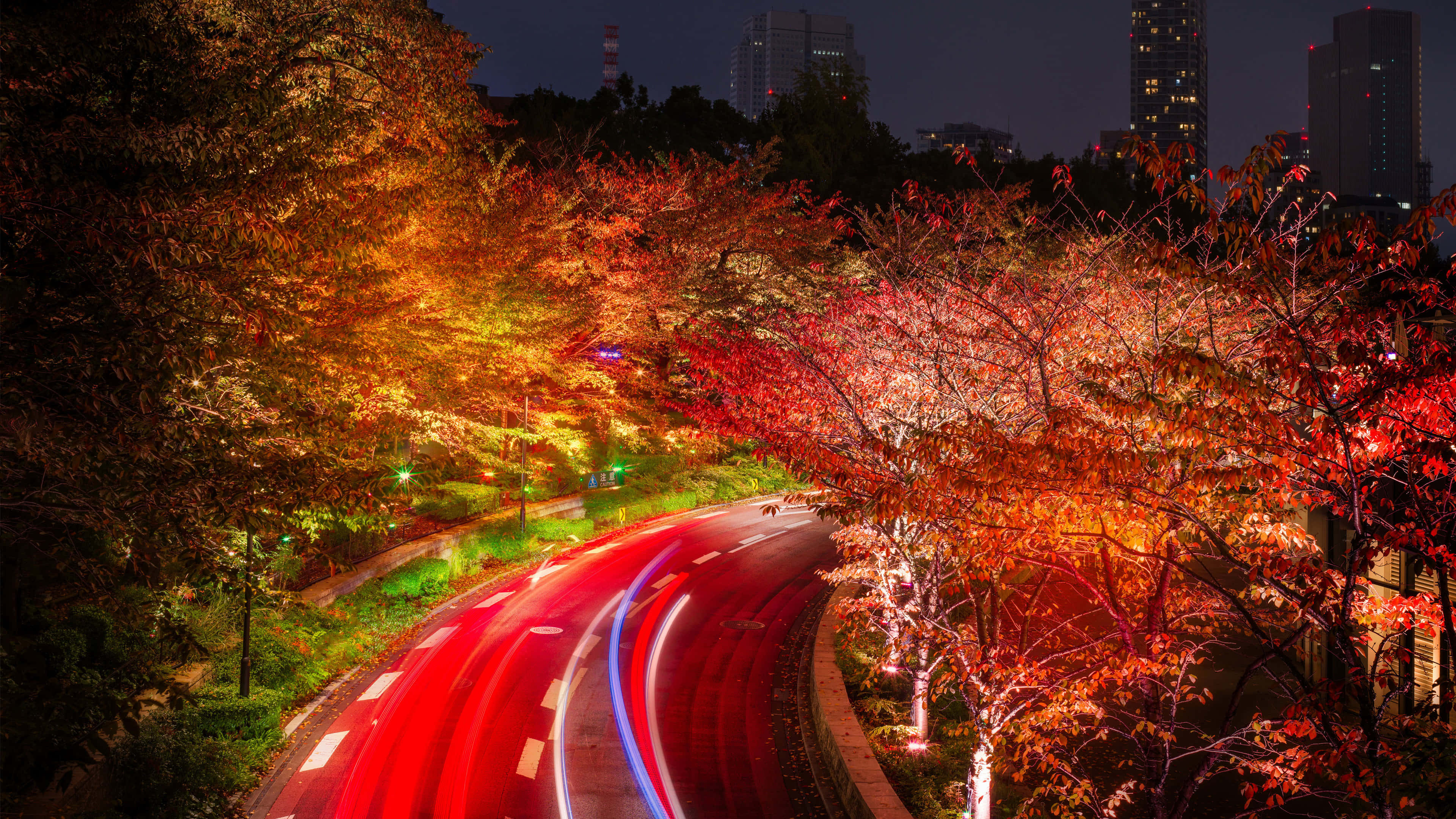 桌布 壁紙 — 一條蜿蜒的道路在夜晚穿過充滿活力的秋樹，在城市的燈光下閃耀著紅橙色的葉子。