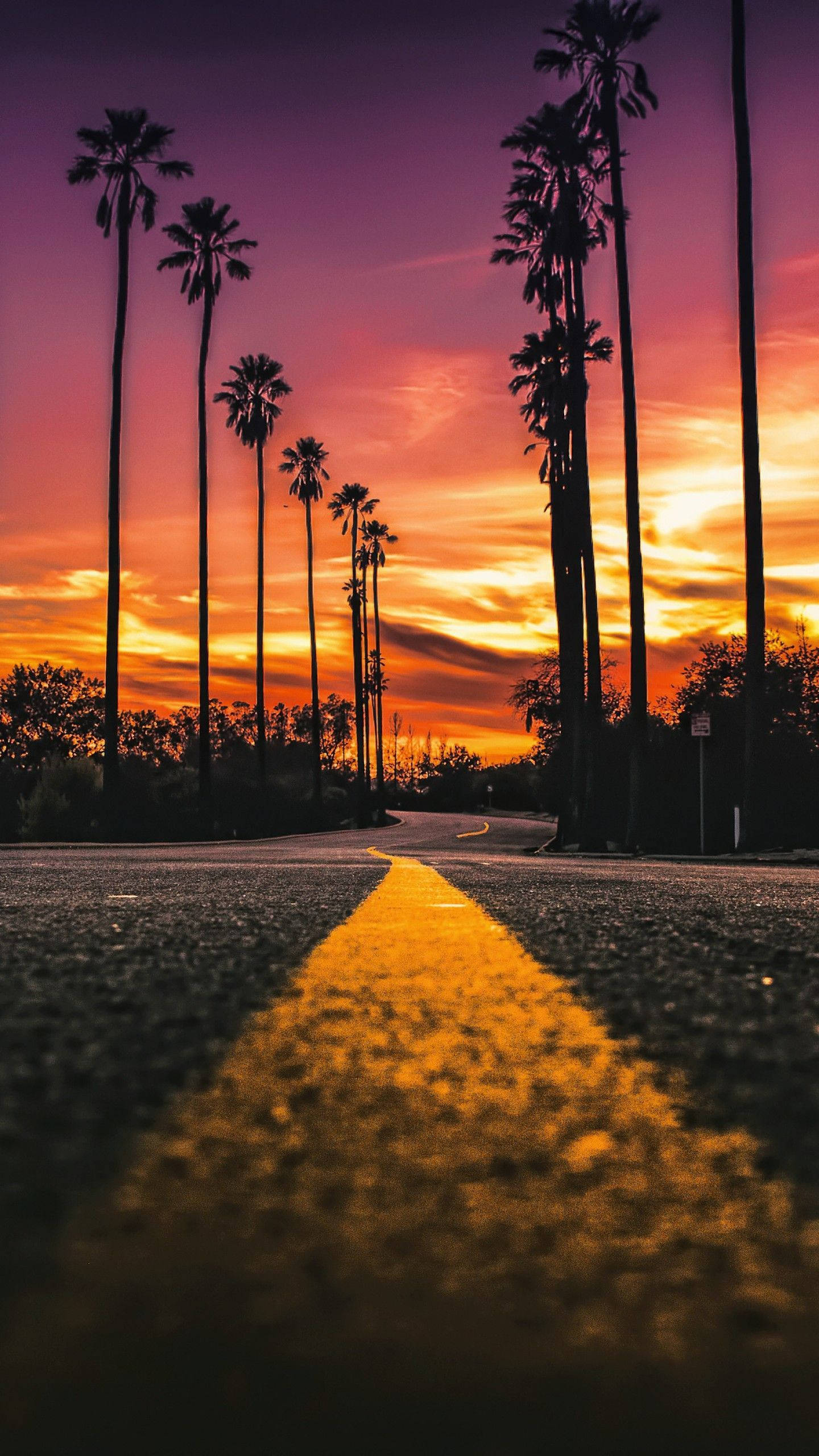 Boulevard 桌布 壁紙 — 一條蜿蜒的道路在日落時分，兩旁高聳的棕櫚樹襯托著充滿活力的紫色和橙色天空。