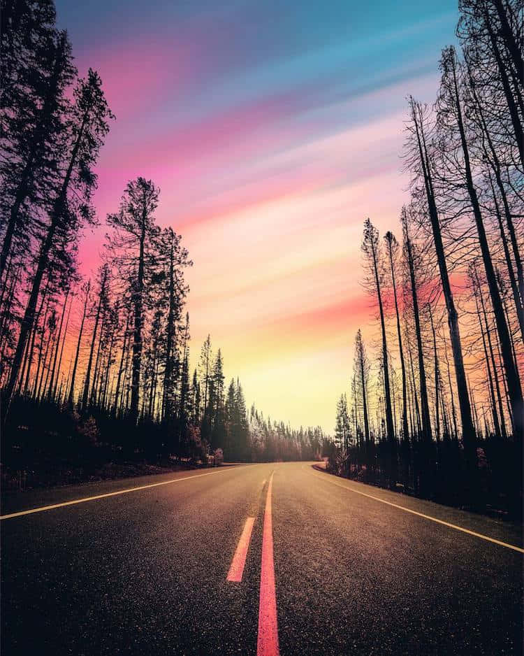Google Landscape 桌布 壁紙 — 一條蜿蜒的道路在日落時分穿過森林，高聳的松樹上方是充滿活力的粉紅色、橙色和藍色天空。