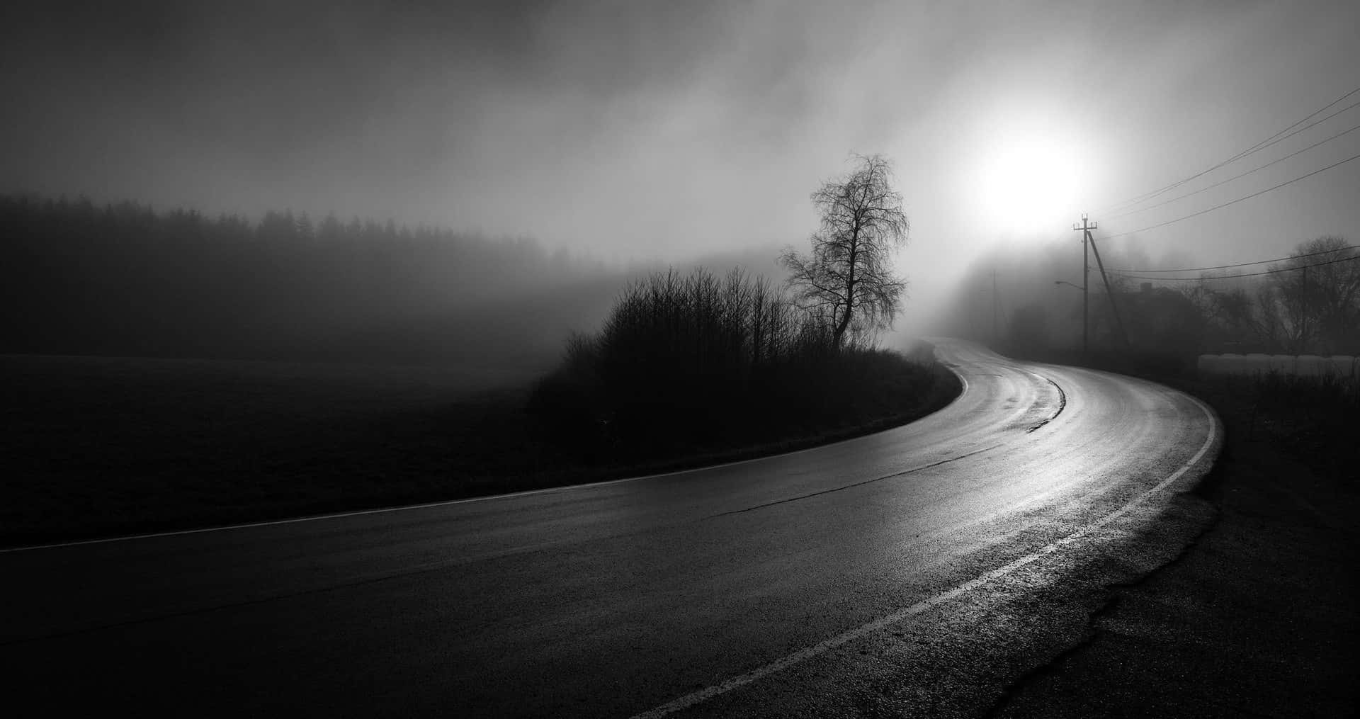 Dark Road 桌布 壁紙 — 一條蜿蜒的道路在明亮的陽光下穿過霧氣瀰漫的鄉村，光禿禿的樹木在朦朧的天空中映出剪影。
