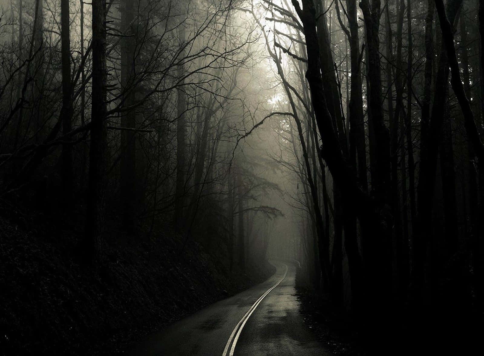 Dark Gothic 桌布 壁紙 — 一條蜿蜒的道路消失在陰森森林中高聳光禿樹木下的迷霧黑暗中。