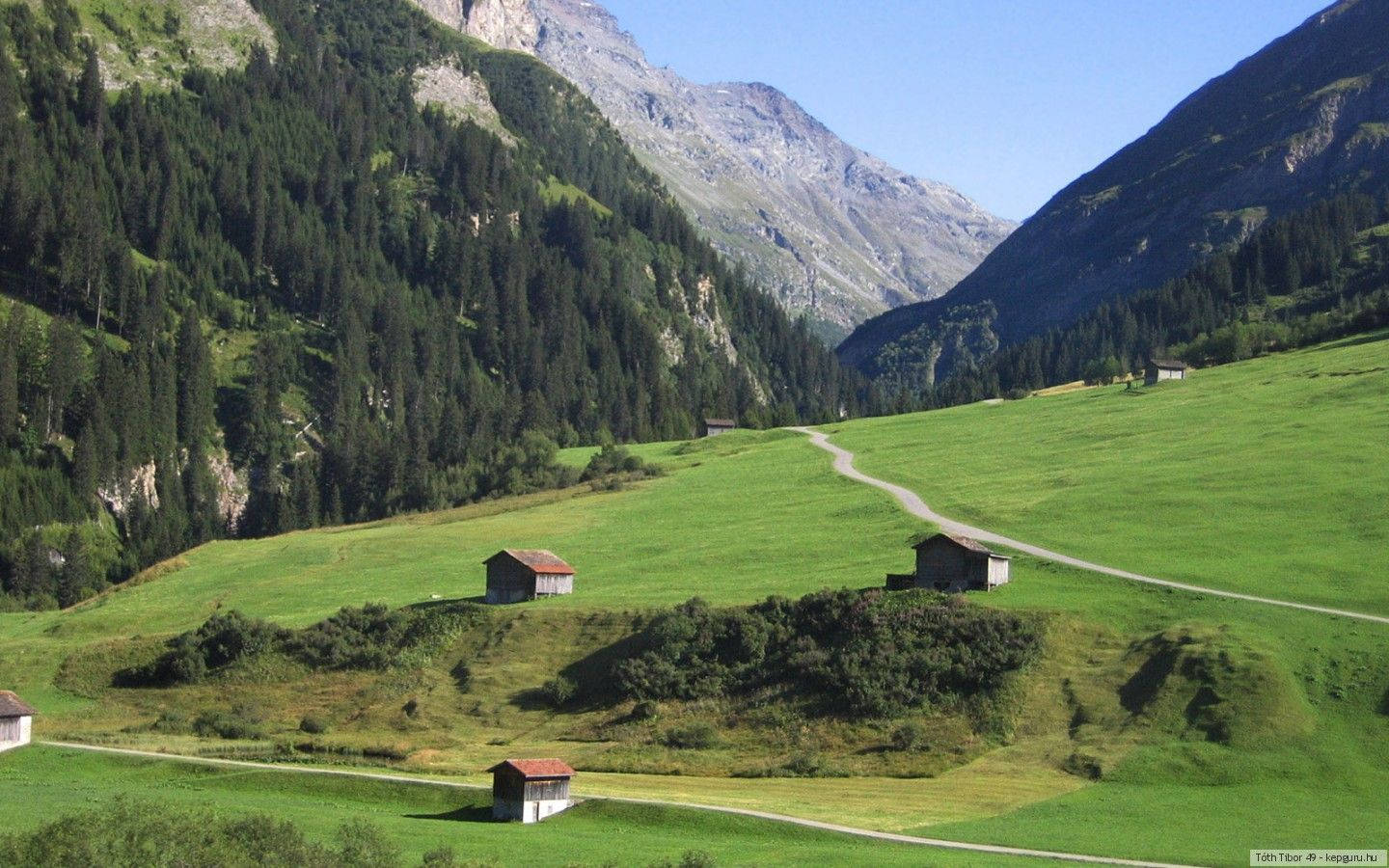 Liechtenstein 桌布 壁紙 — 一條蜿蜒的道路穿過一個鬱鬱蔥蔥的綠色山谷，兩旁是高聳的森林覆蓋的山脈，在晴朗的藍天下。