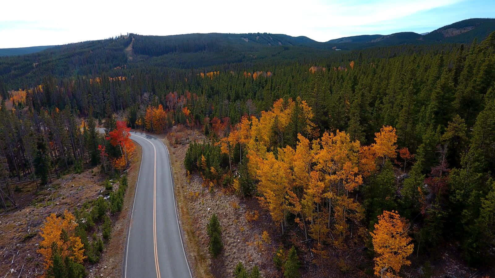 Fall Road 桌布 壁紙 — 一條蜿蜒的道路穿過一片在陰天之下燃燒著秋色的森林。