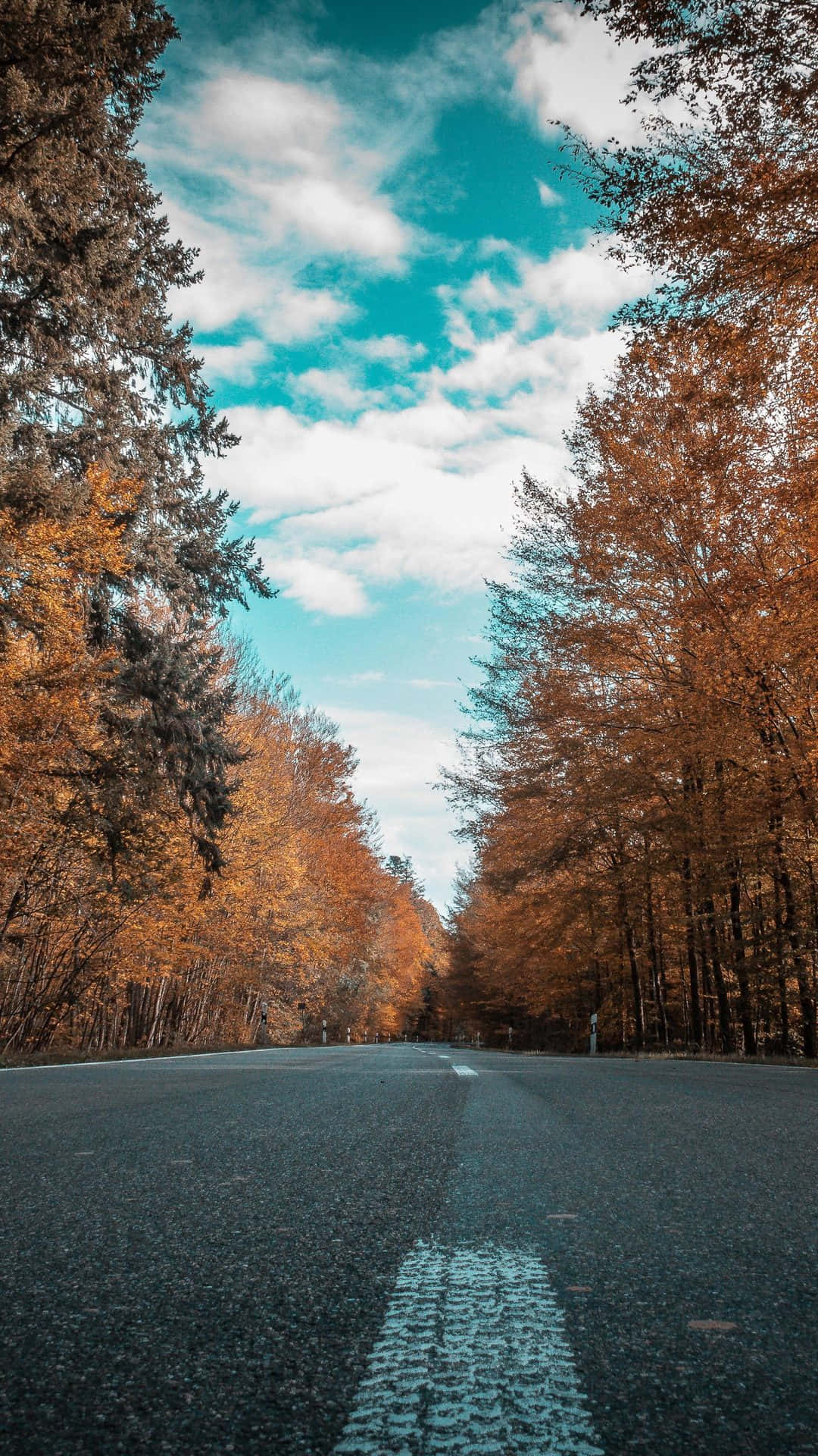 Autumn iPhone 6 Plus 桌布 壁紙 — 一條蜿蜒的道路穿過一片金色秋樹的森林，上方是明亮的藍天和蓬鬆的白雲。