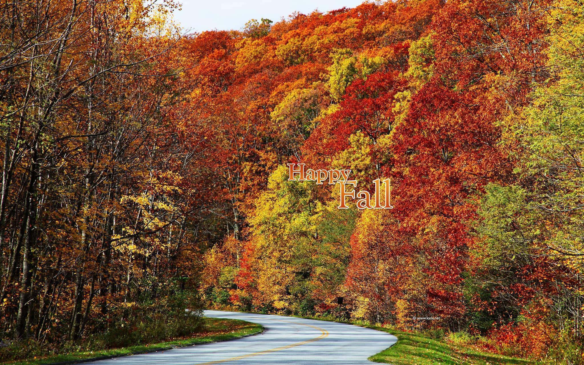 Fall Colors 桌布 壁紙 — 一條蜿蜒的道路穿過充滿活力的秋日森林，樹葉呈現火紅、橙色和金黃色。